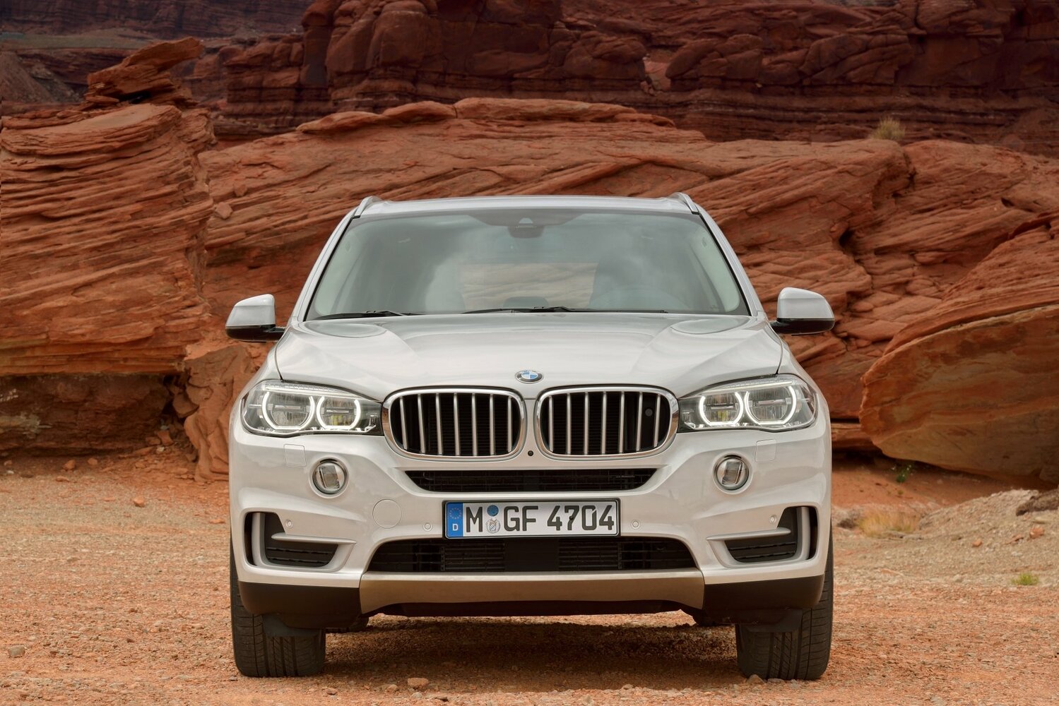 BMW X5 III (F15), 2016, фото 7