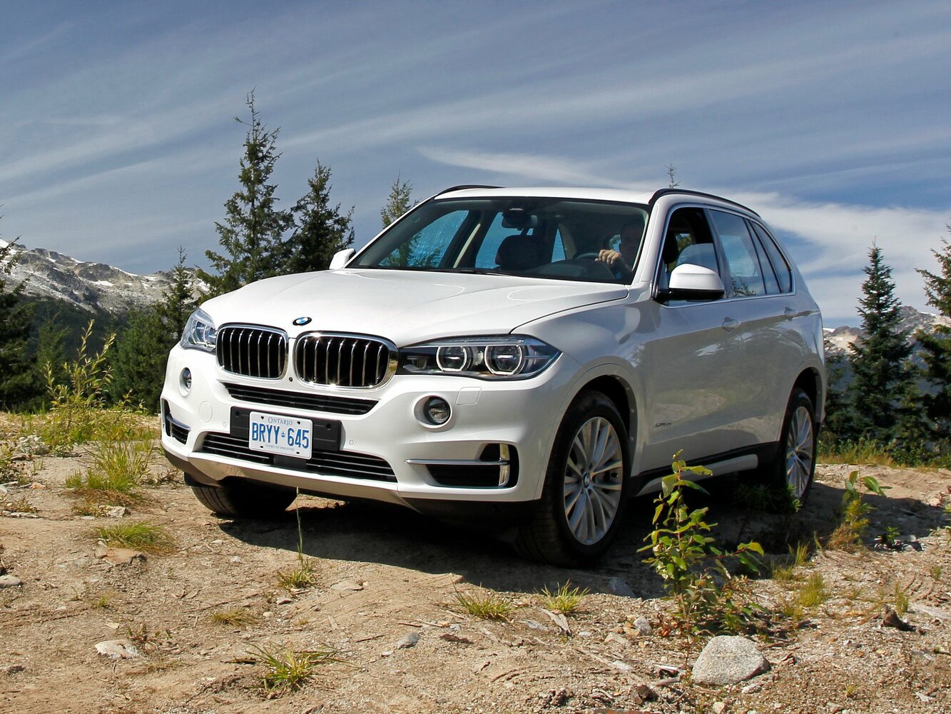 BMW X5 III (F15), 2016, фото 5