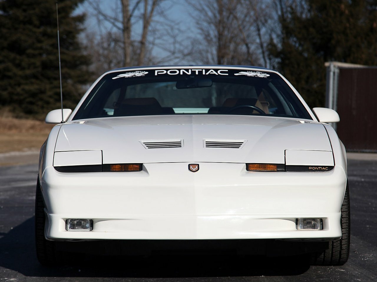 Pontiac Firebird III, 1985, фото 2