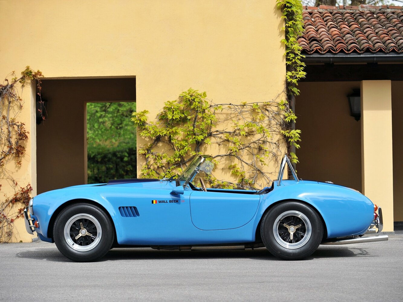 AC Cobra Mk IV, 1991, фото 5