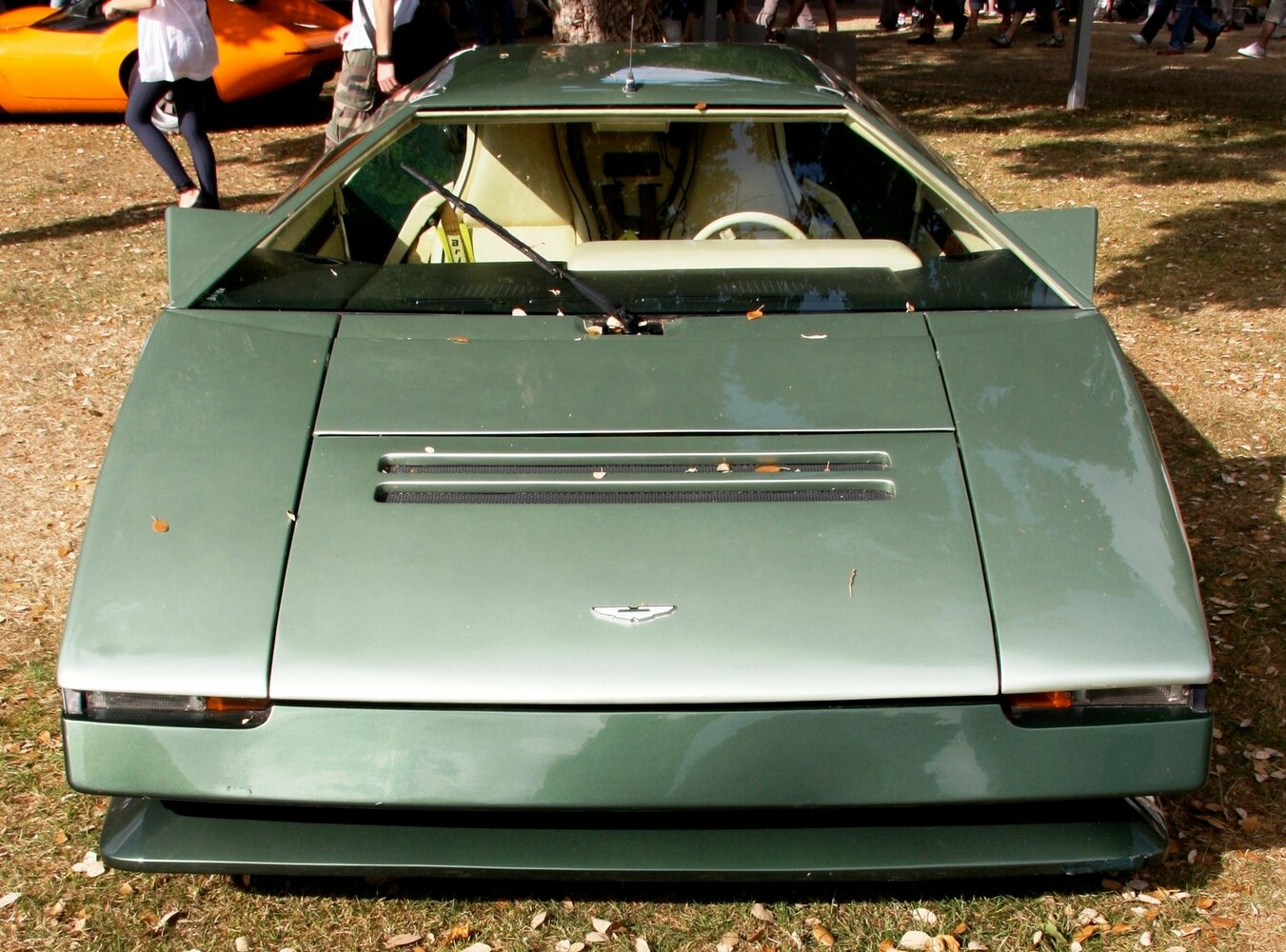 Aston Martin Bulldog, 1980, фото 5