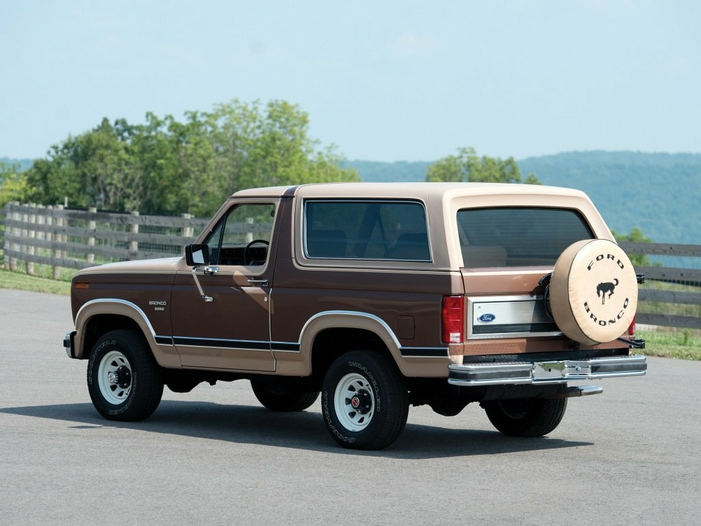 Ford Bronco III, 1986, фото 7