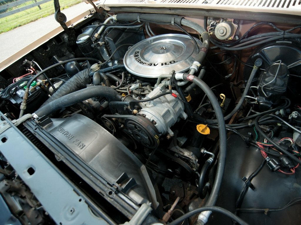 Ford Bronco III, 1986, фото 3
