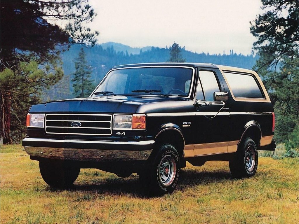 Ford Bronco IV, 1987, фото 2