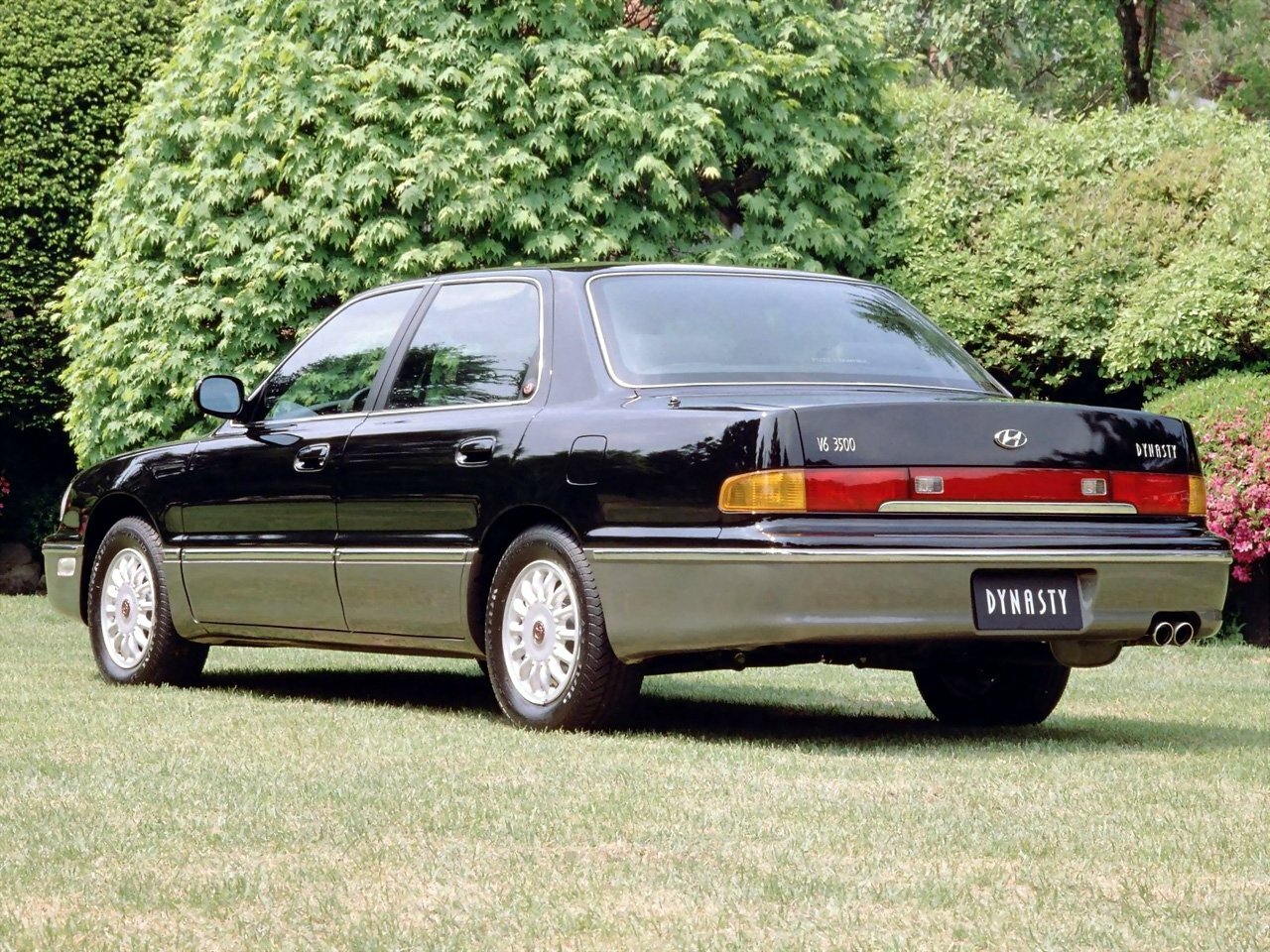Hyundai Dynasty, 2005, фото 2