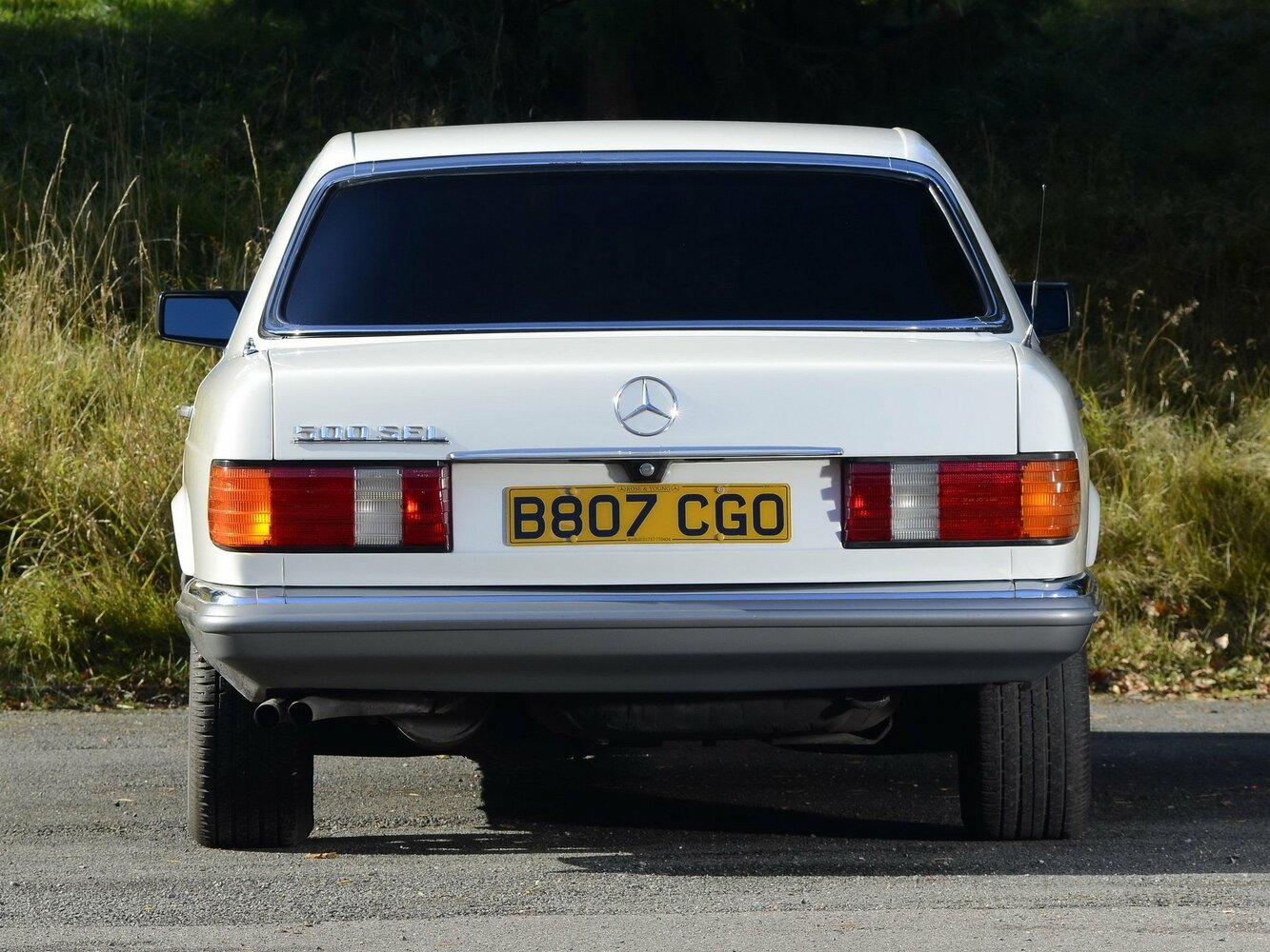 Mercedes-Benz S-Класс II (W126), 1981, фото 7
