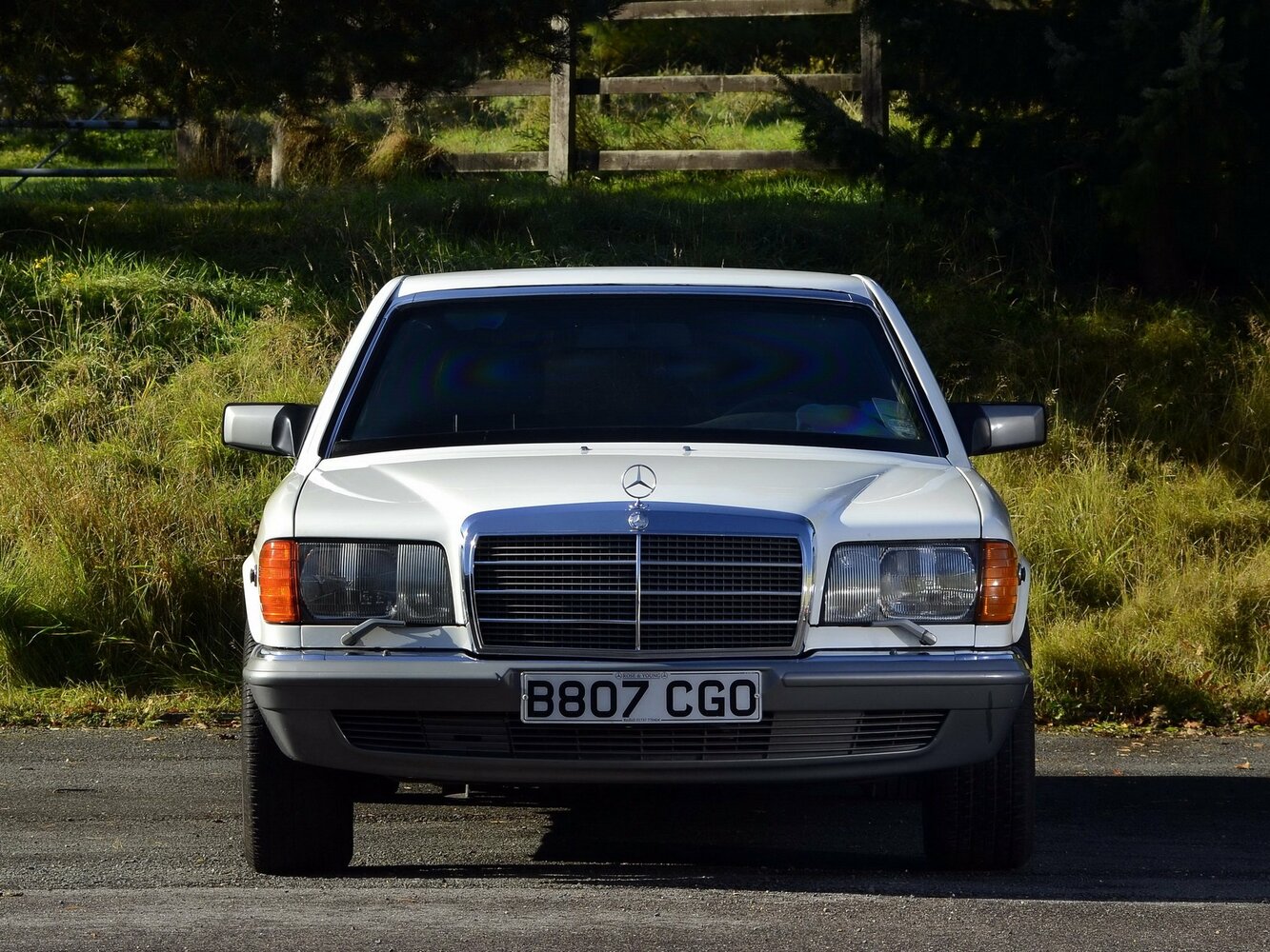Mercedes-Benz S-Класс II (W126), 1981, фото 4