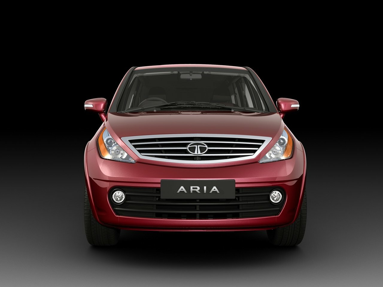 Tata Aria, 2014, фото 3