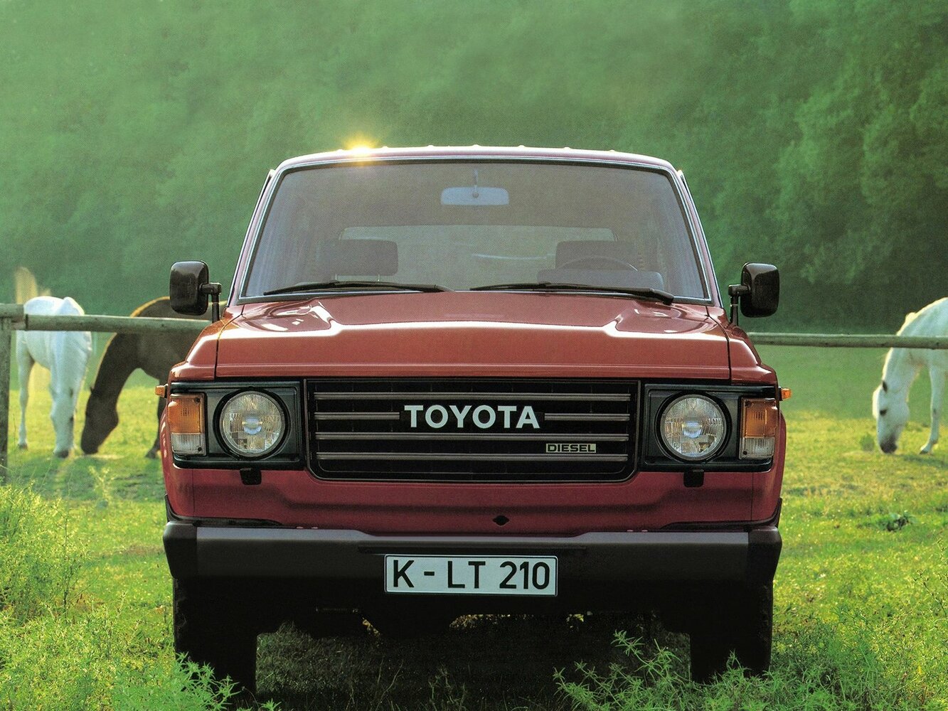 Toyota Land Cruiser 60 Series, 1981, фото 2