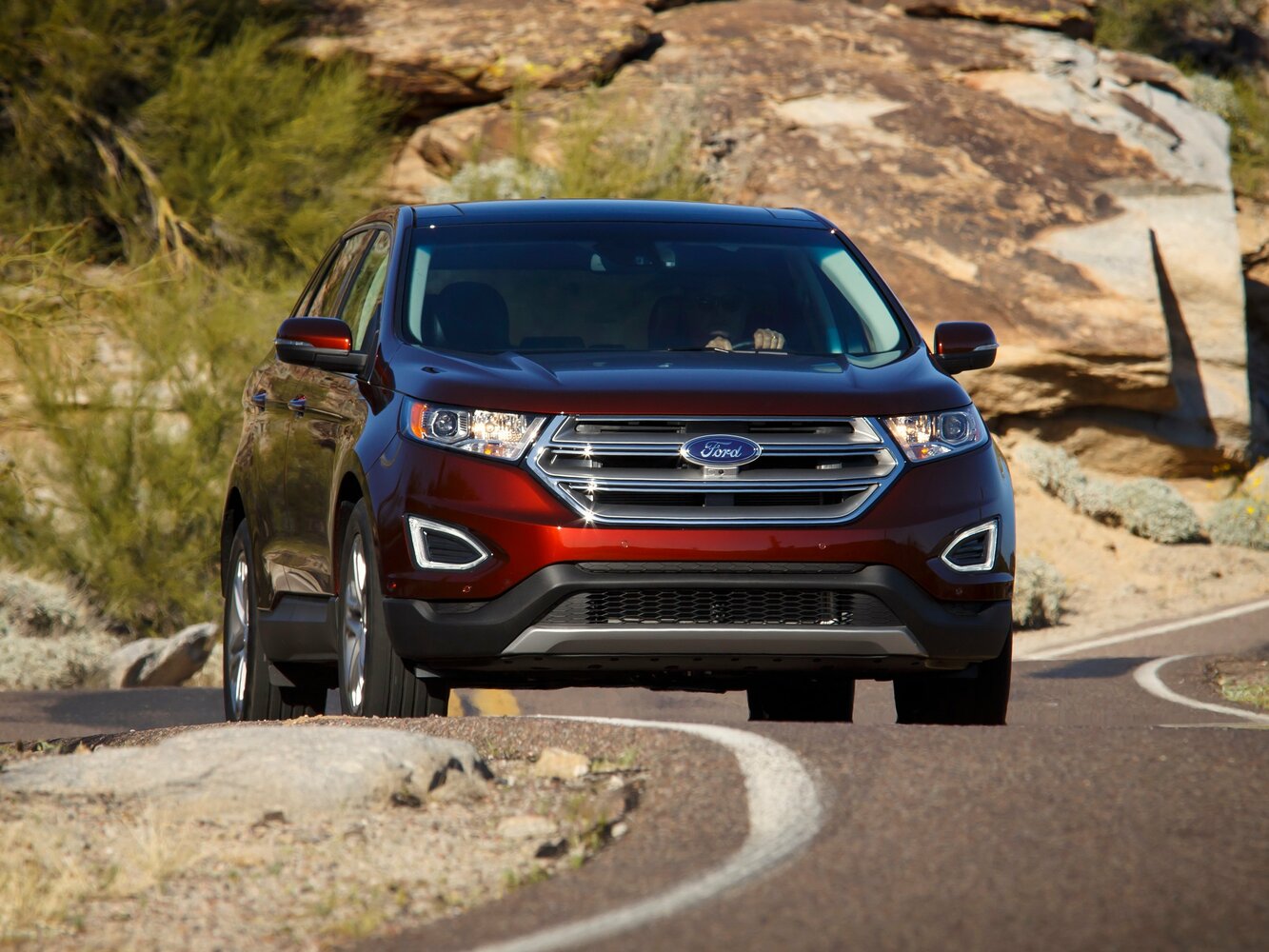 Ford Edge II, 2015, фото 2