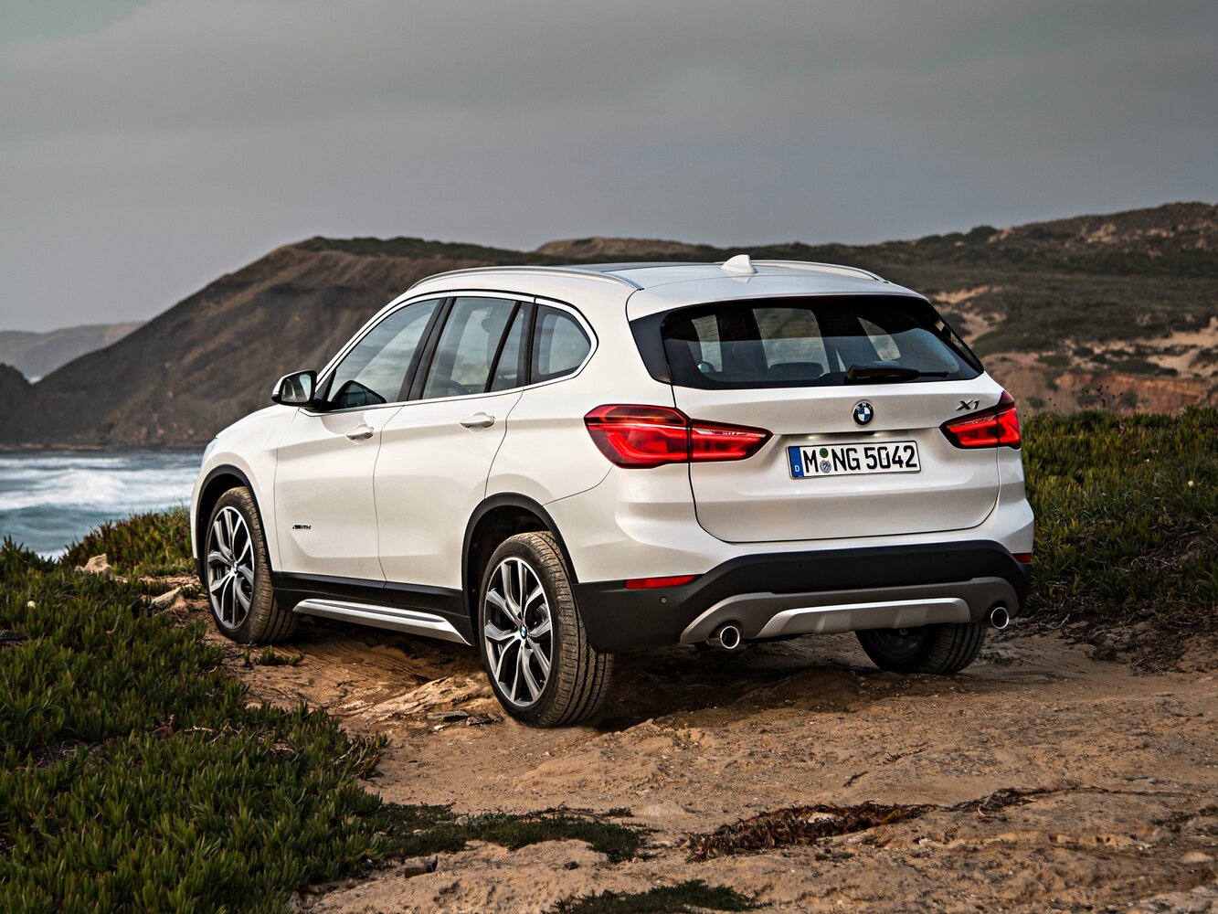 BMW X1 II (F48), 2019, фото 2