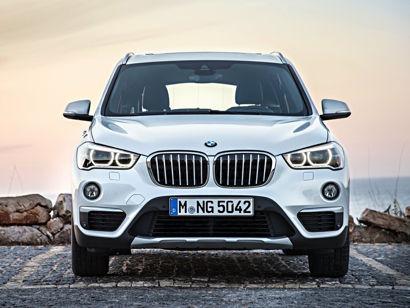 BMW X1 II (F48), 2019, фото 5