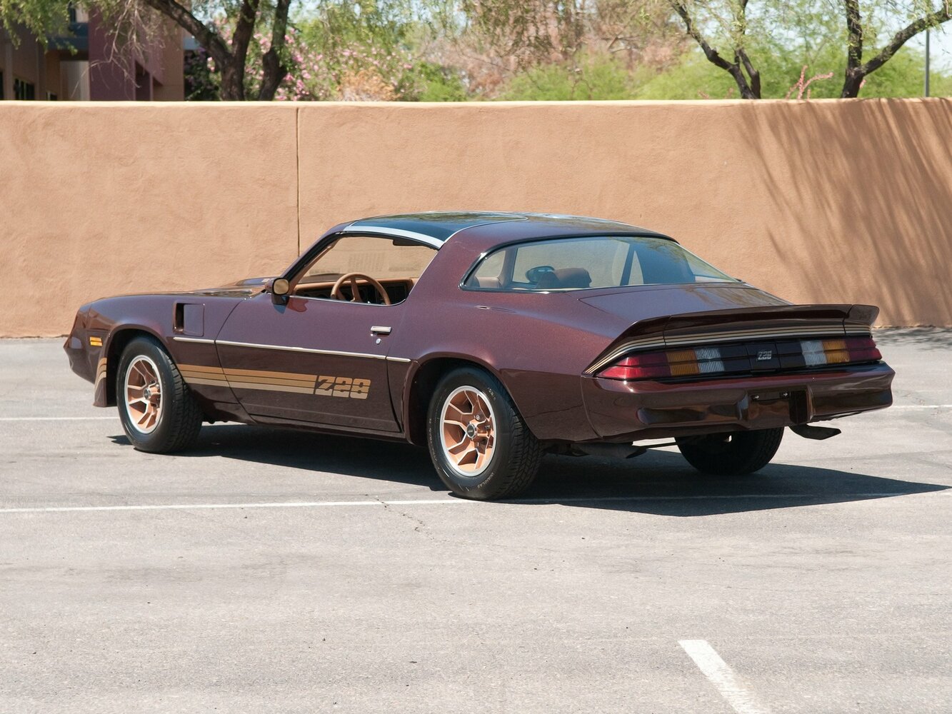Chevrolet Camaro II, 1981, фото 8