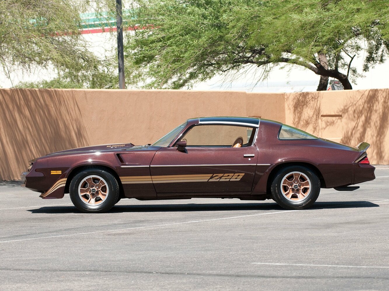 Chevrolet Camaro II, 1981, фото 4