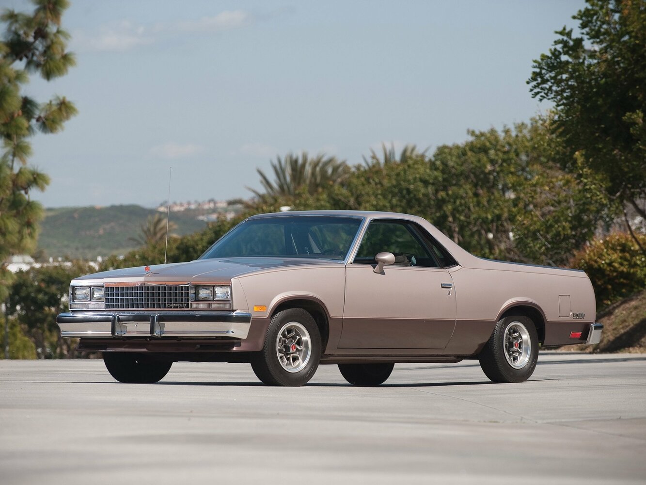 Chevrolet El Camino V, 1985, фото 6