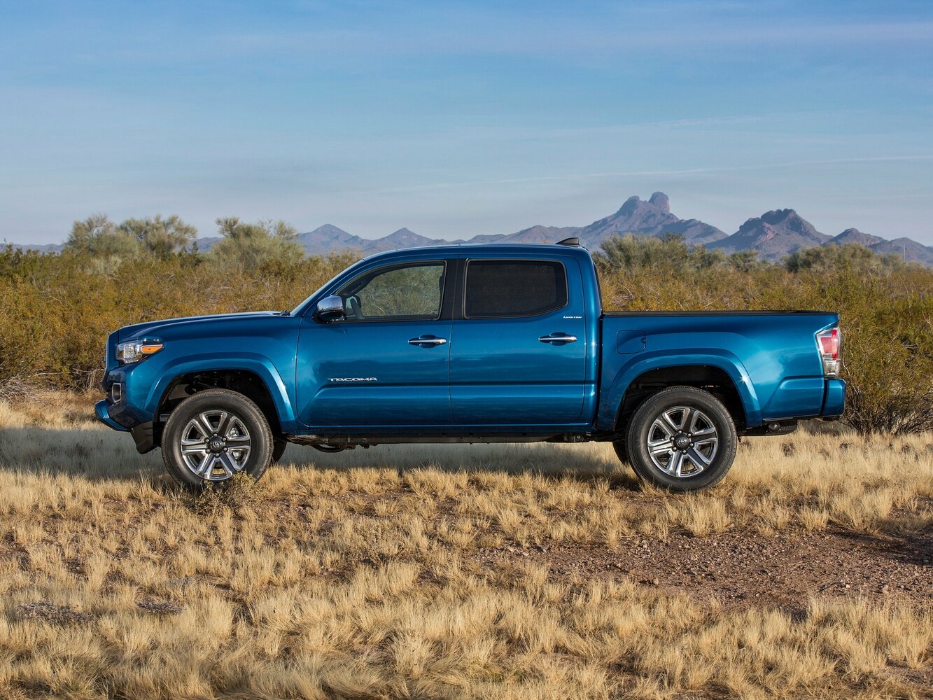Toyota Tacoma III, 2020, фото 2