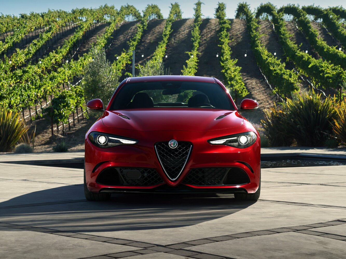 Alfa Romeo Giulia II (952), 2018, фото 2