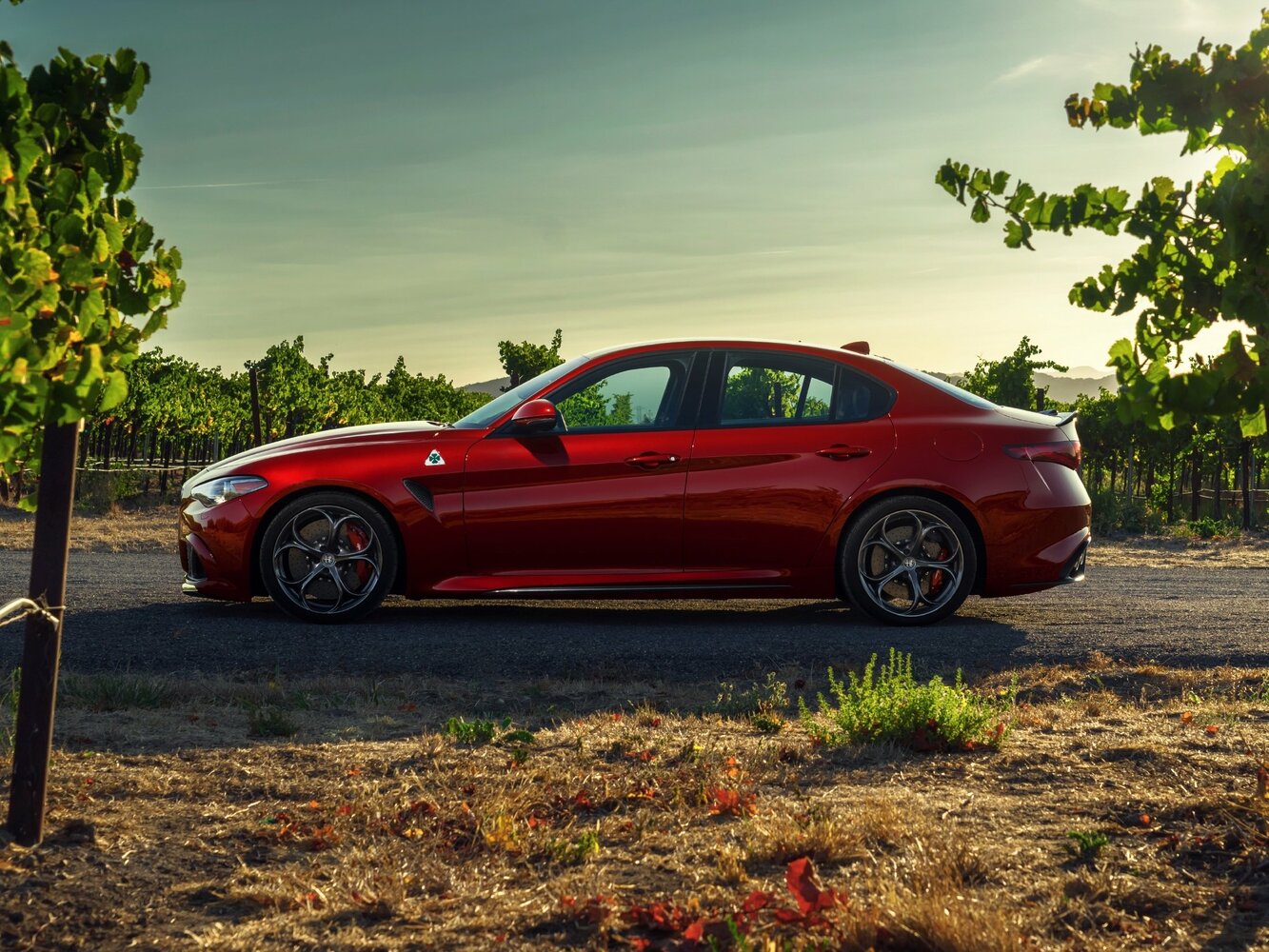 Alfa Romeo Giulia II (952), 2018, фото 8