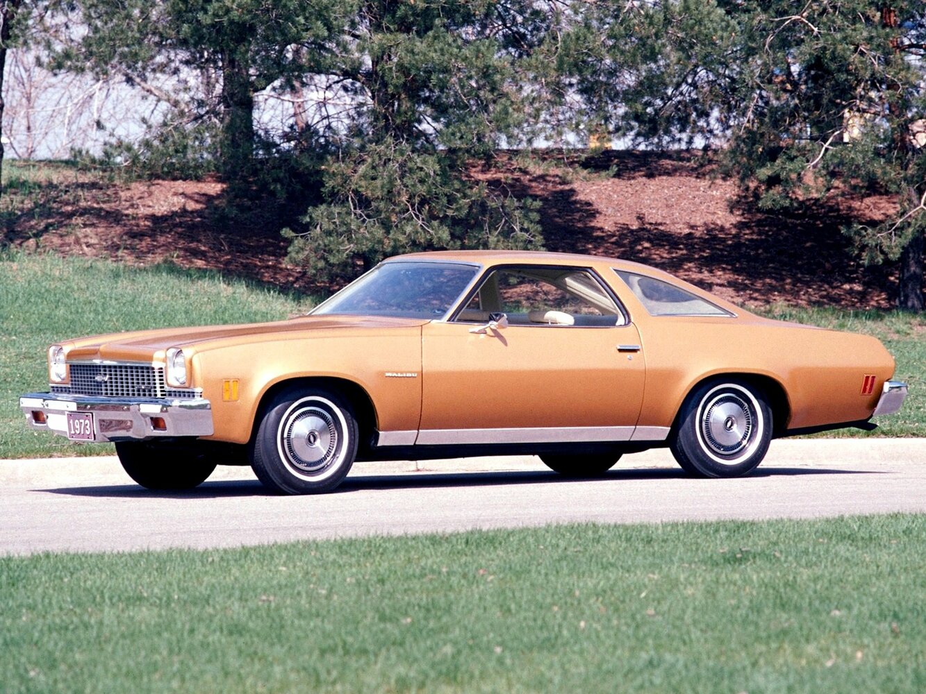 Chevrolet Chevelle III, 1975, фото 3