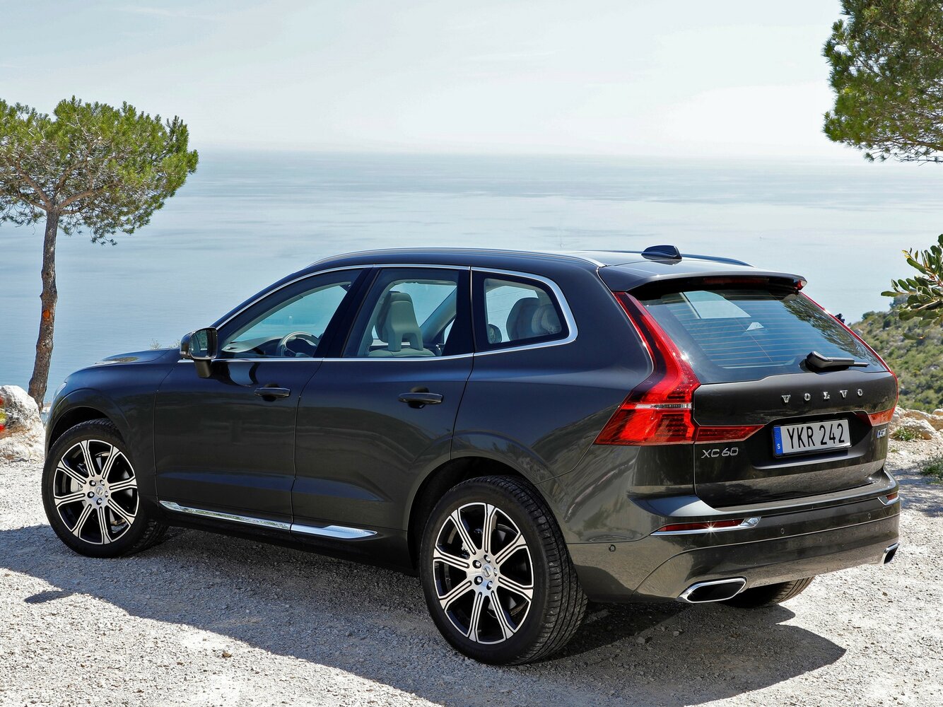 Volvo XC60 II, 2020, фото 22