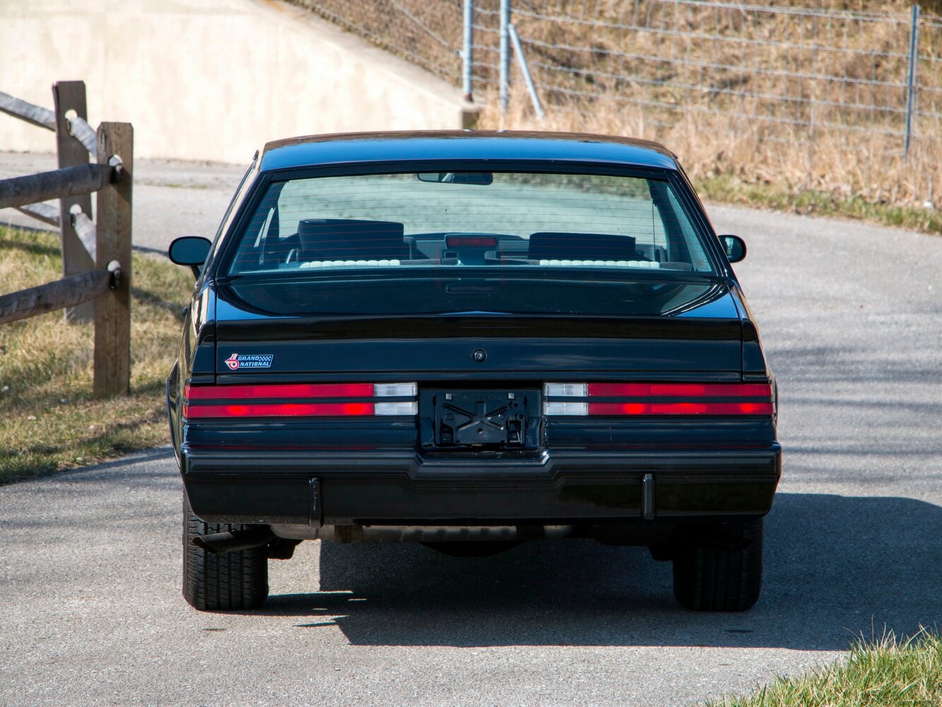 Buick Regal II, 1984, фото 6