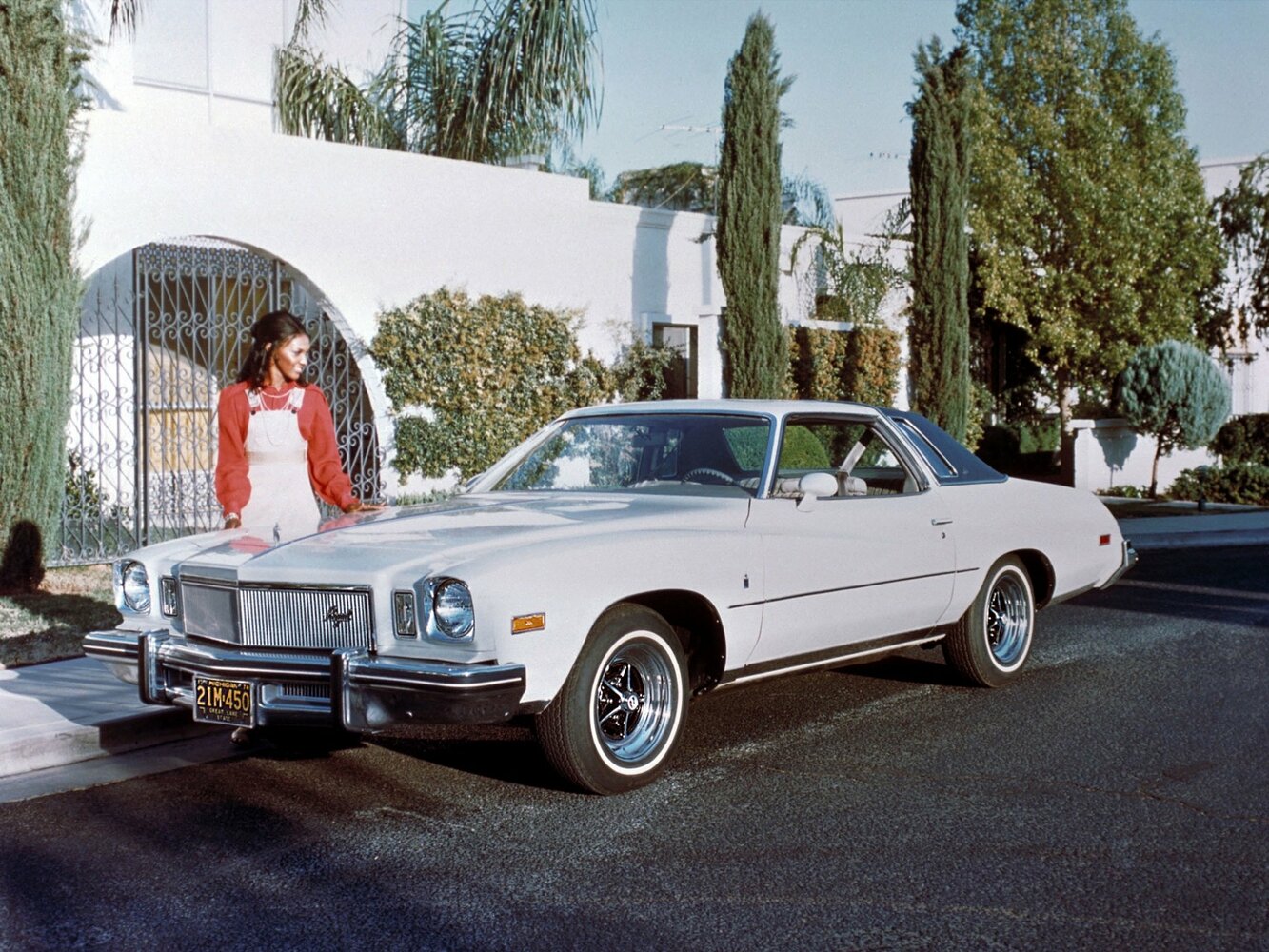 Buick Regal I, 1976, фото 3