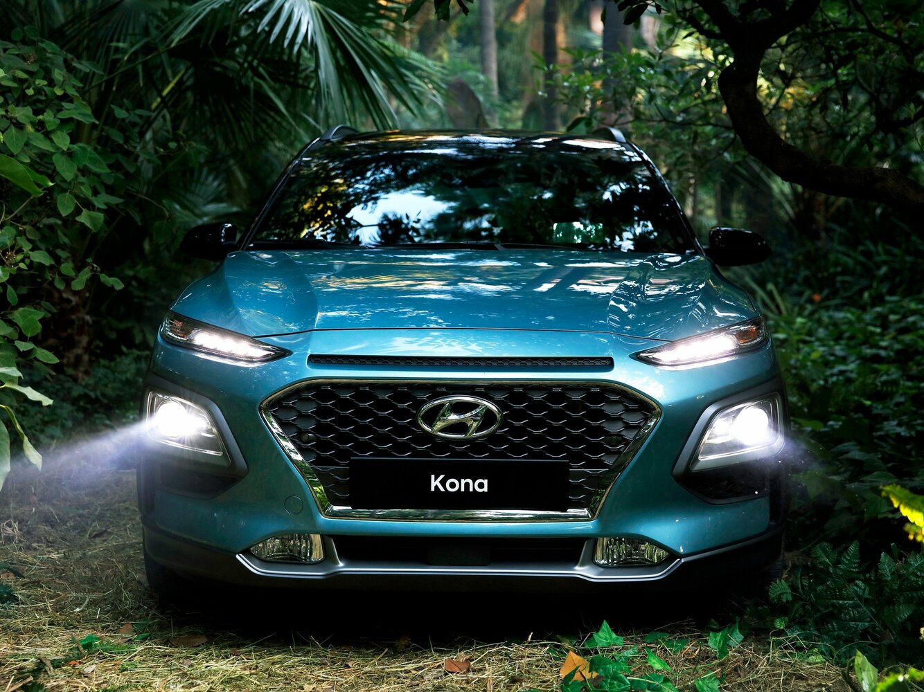Hyundai Kona I, 2018, фото 2