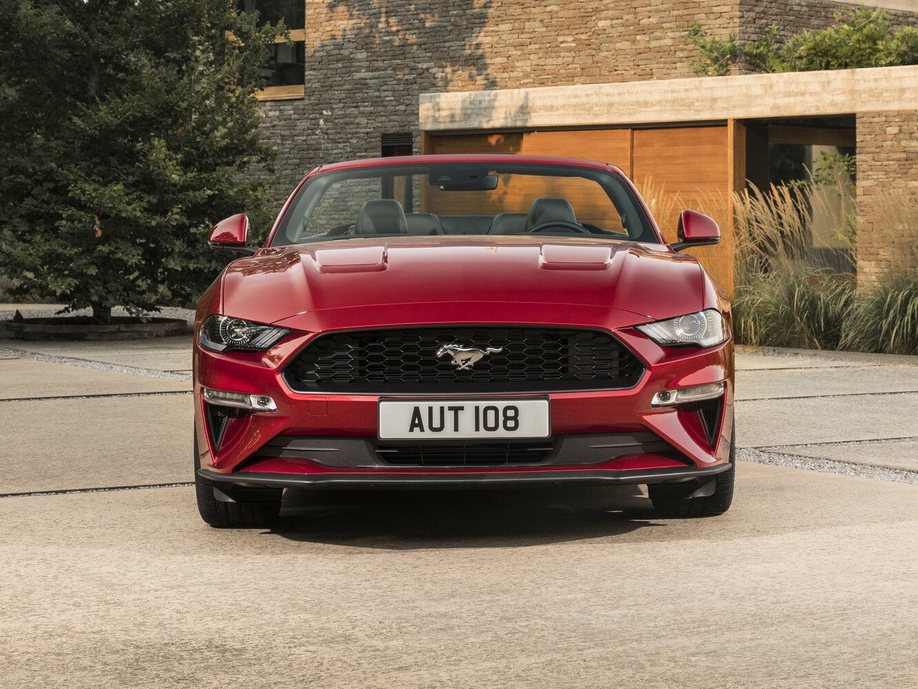 Ford Mustang VI Рестайлинг, 2023, фото 11
