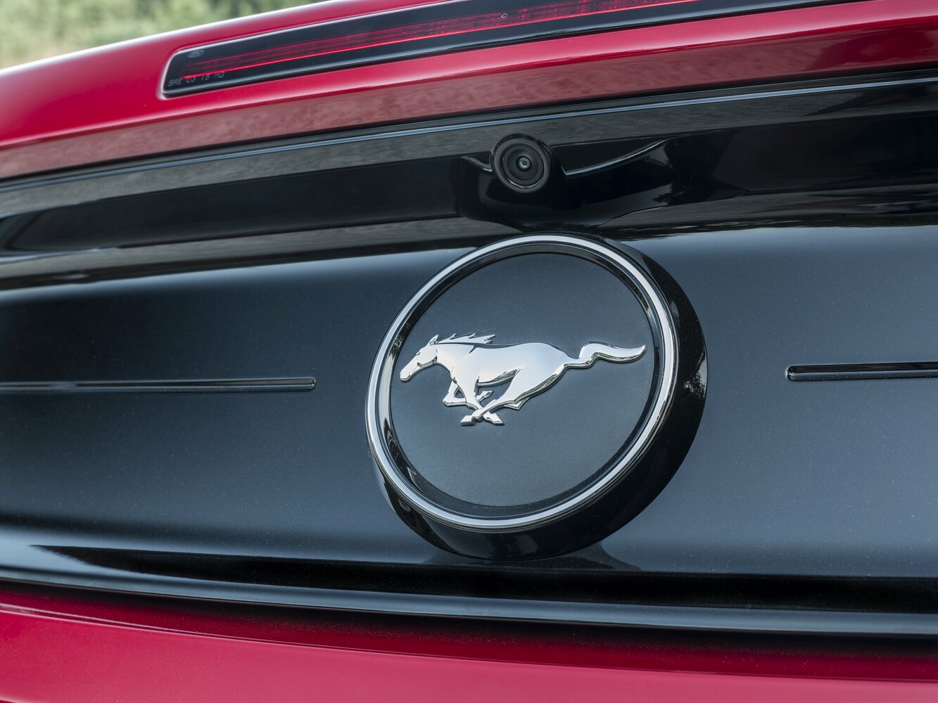 Ford Mustang VI Рестайлинг, 2023, фото 3