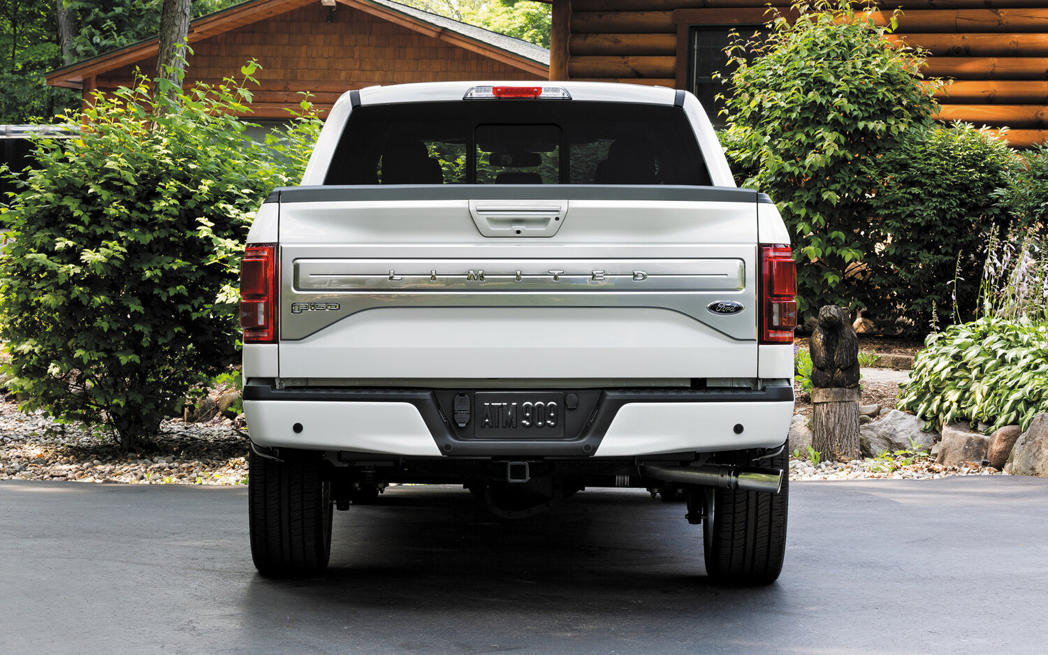 Ford F-150 XIII Рестайлинг, 2020, фото 15