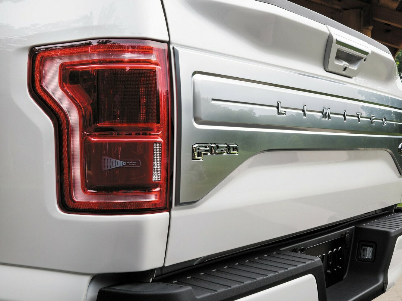 Ford F-150 XIII Рестайлинг, 2020, фото 3