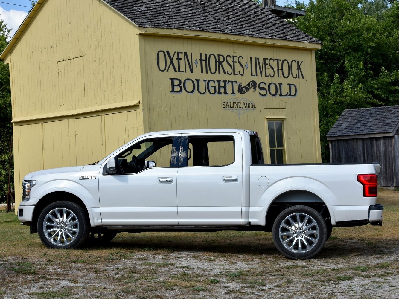 Ford F-150 XIII Рестайлинг, 2020, фото 11