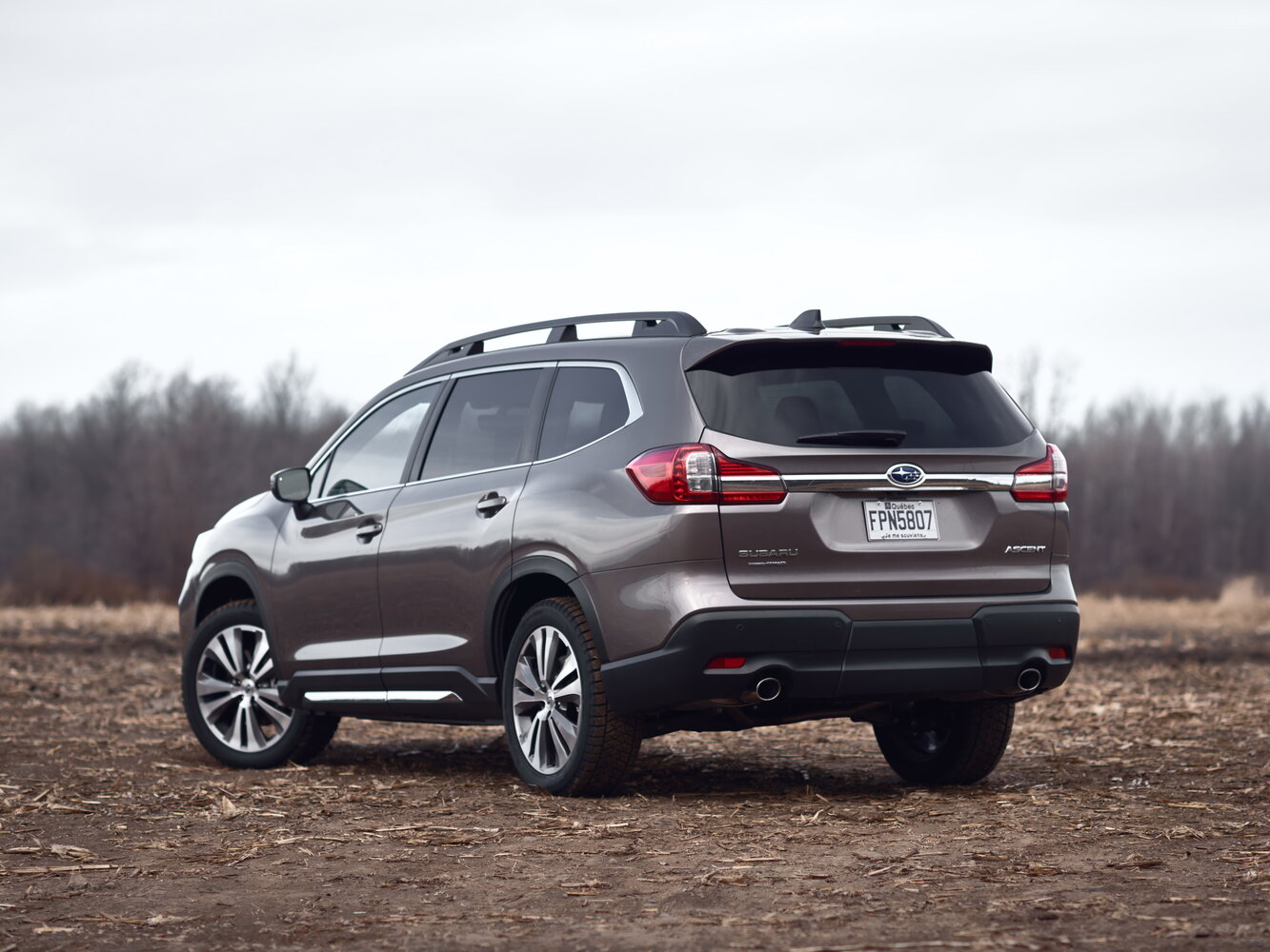 Subaru Ascent I, 2019, фото 4