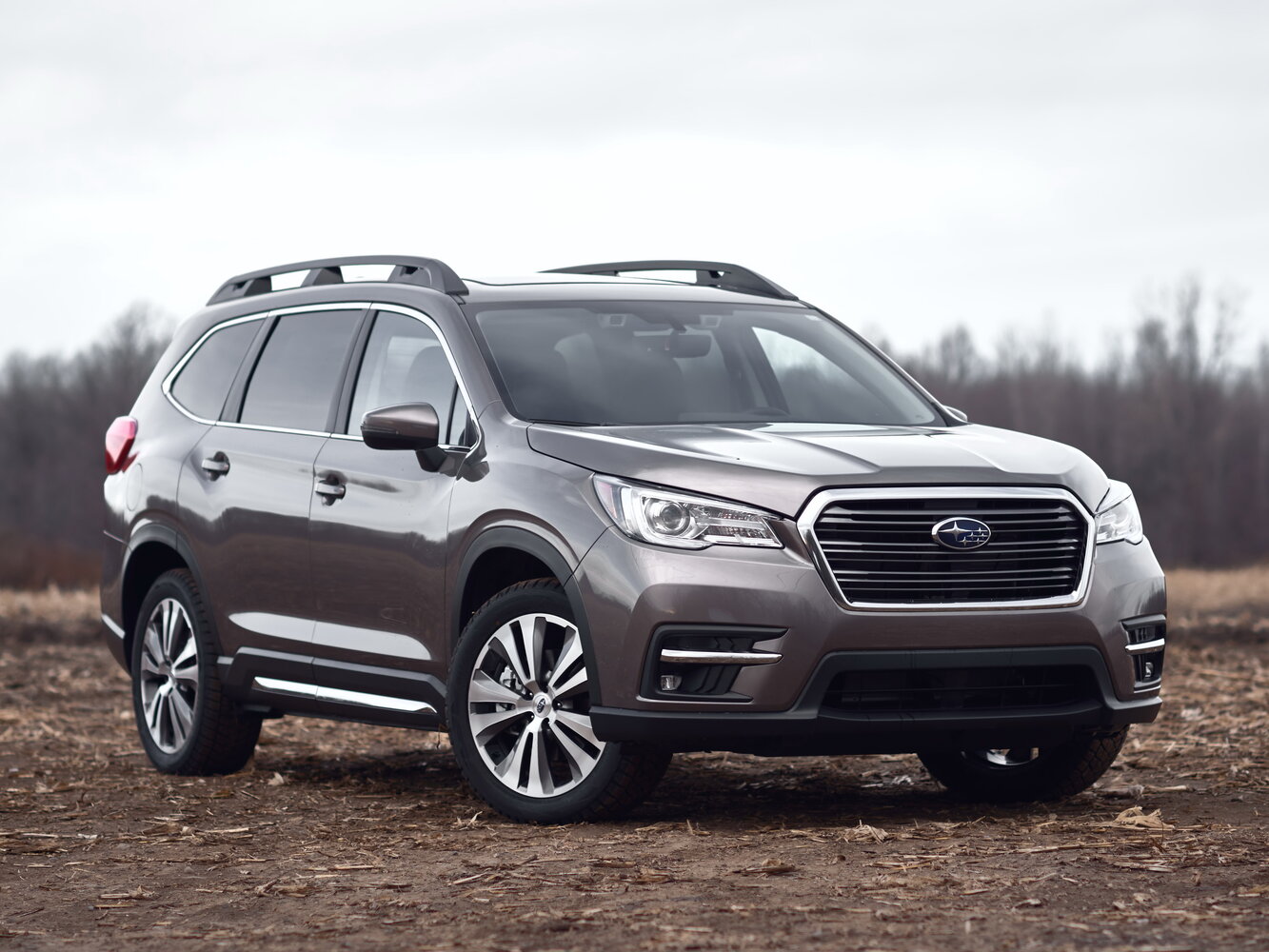 Subaru Ascent I, 2019, фото 8