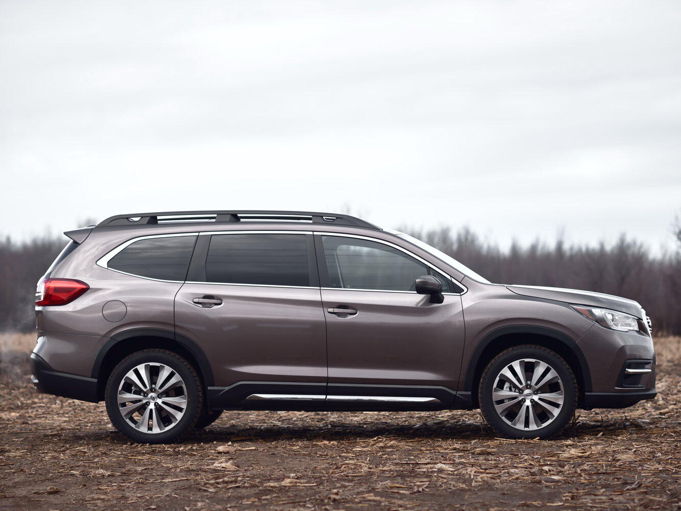 Subaru Ascent I, 2019, фото 13
