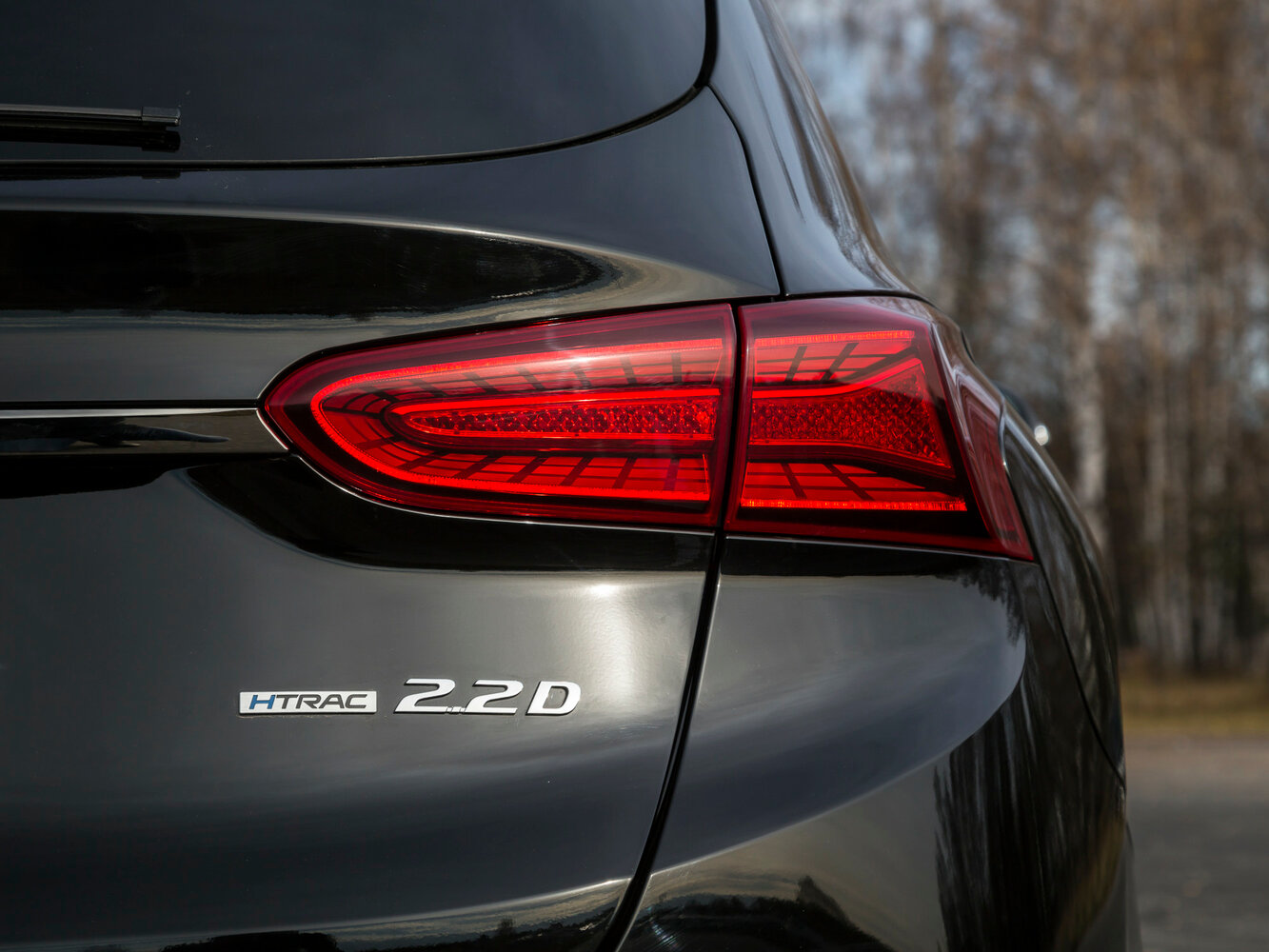 Hyundai Santa Fe IV, 2021, фото 31