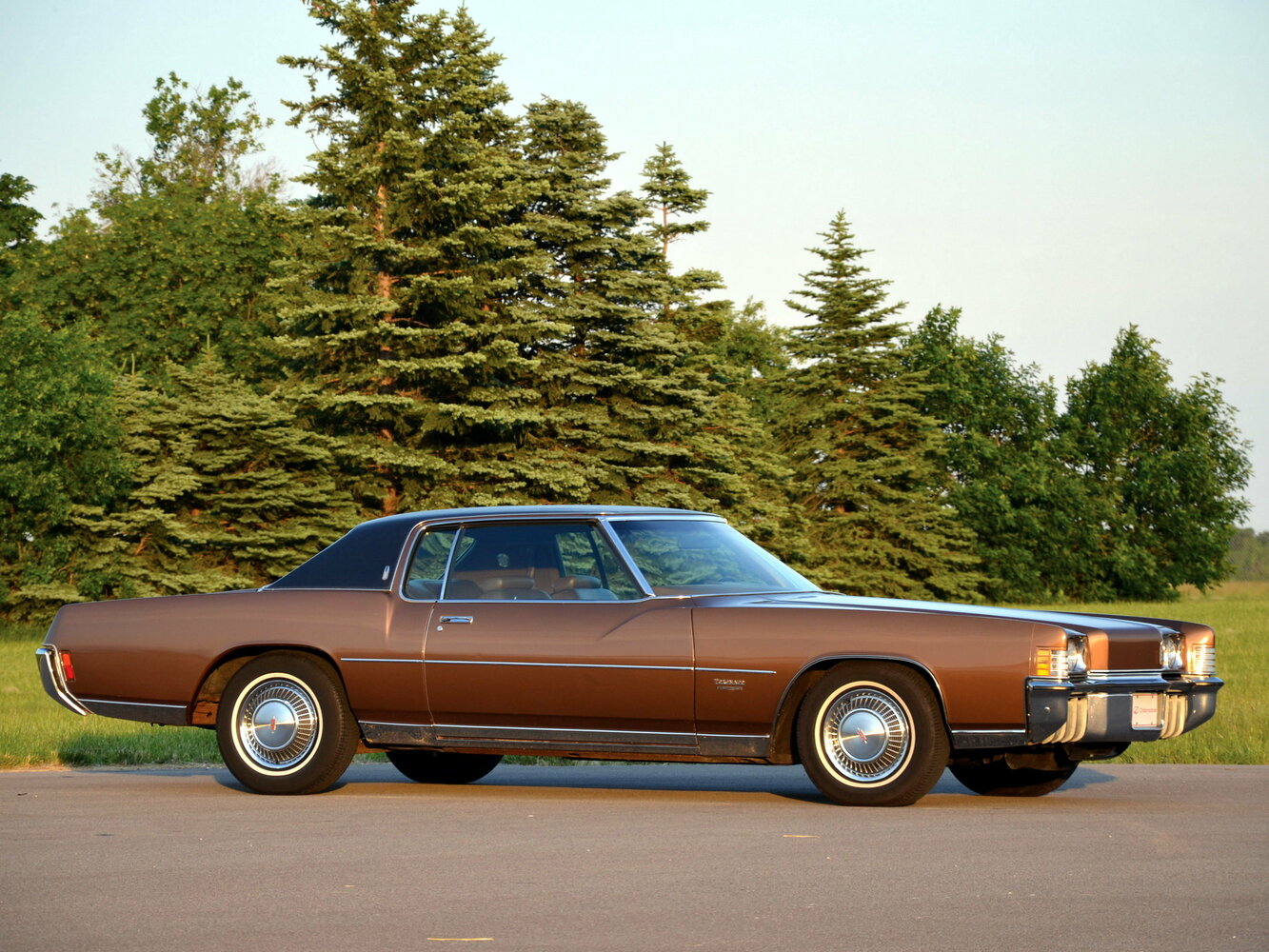 Oldsmobile Toronado II, 1973, фото 4