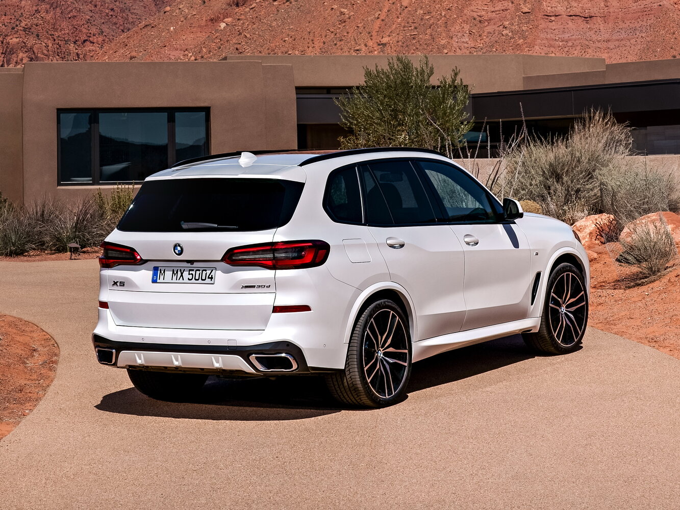 BMW X5 IV (G05/G18), 2019, фото 4