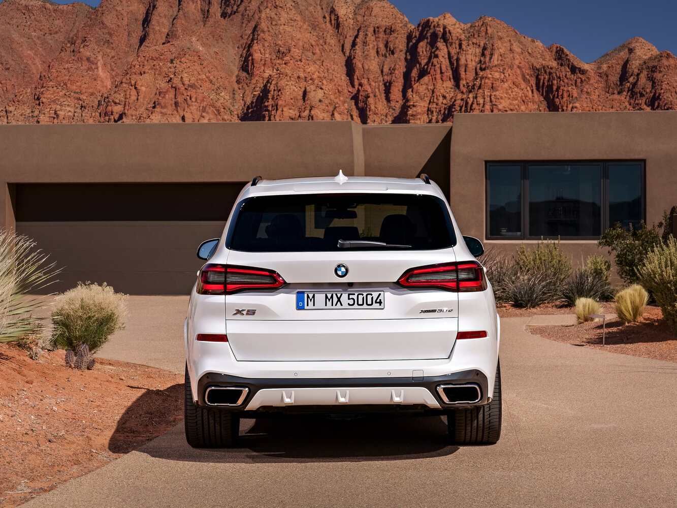 BMW X5 IV (G05/G18), 2019, фото 11