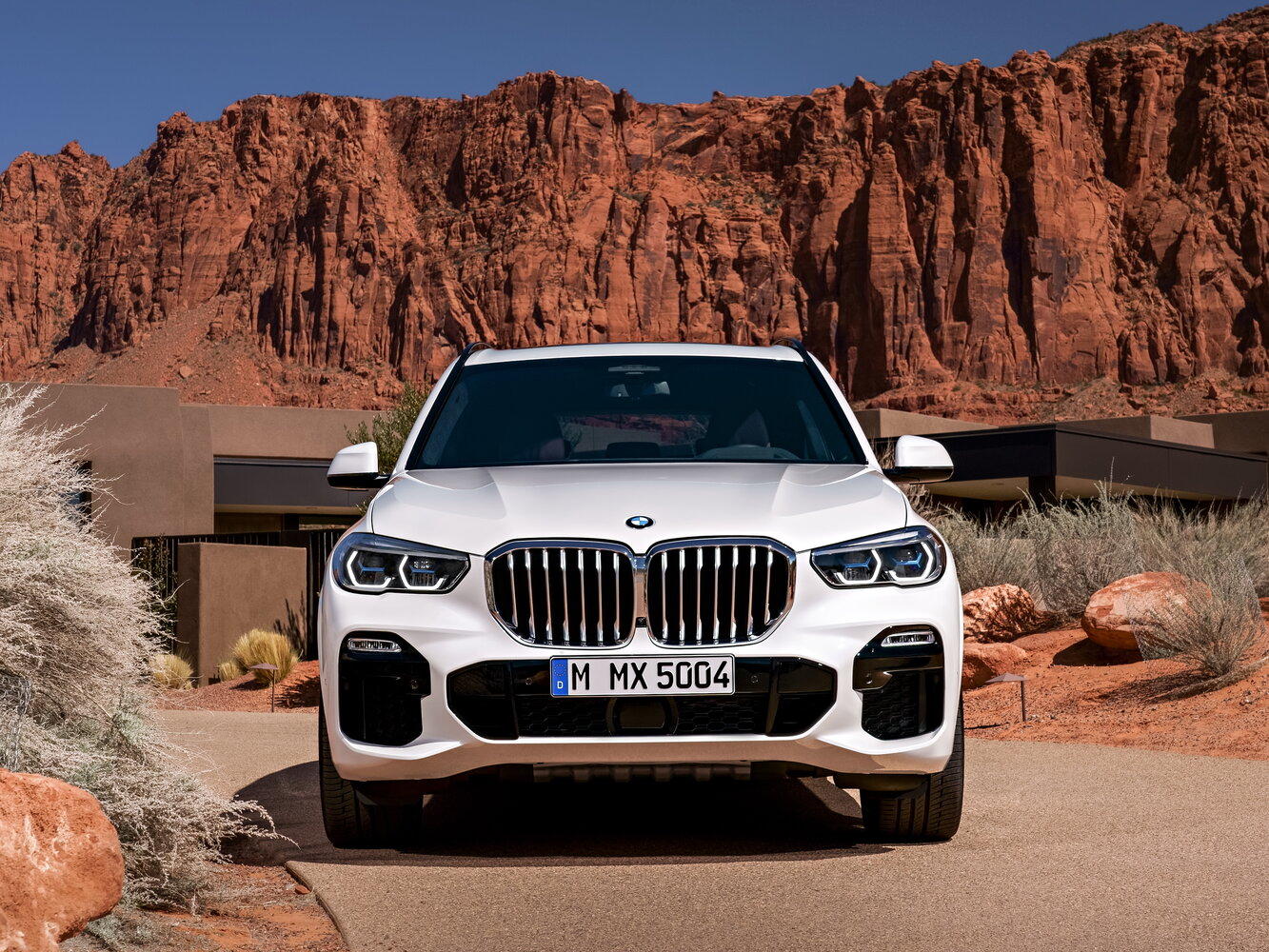 BMW X5 IV (G05/G18), 2019, фото 5
