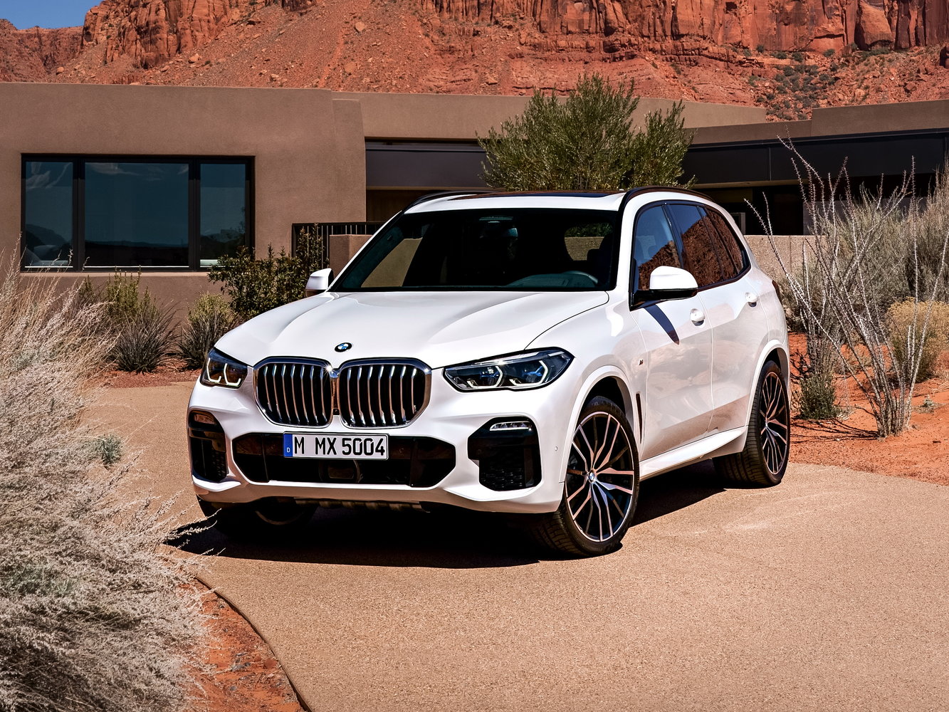 BMW X5 IV (G05/G18), 2019, фото 10