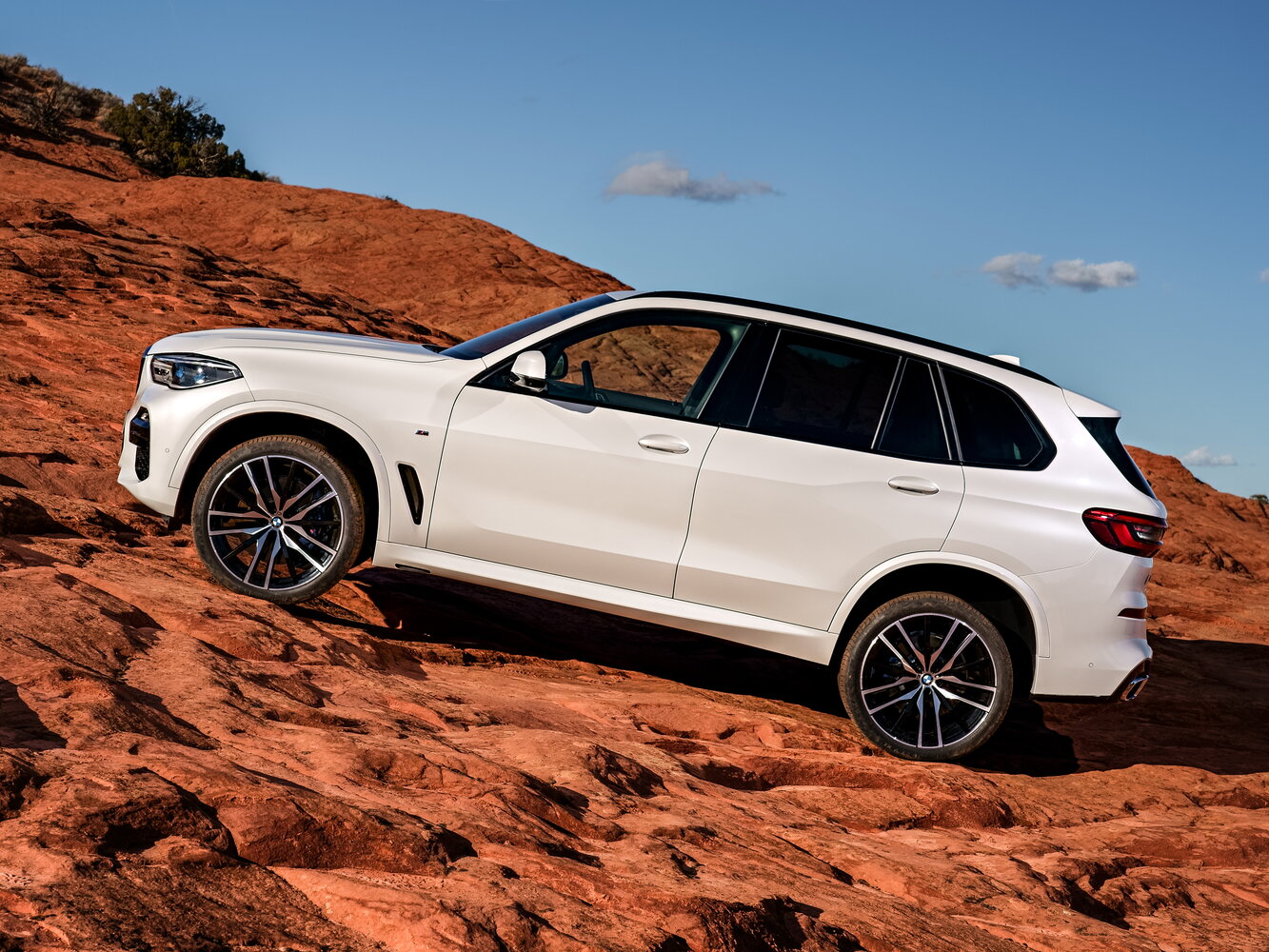 BMW X5 IV (G05/G18), 2019, фото 12