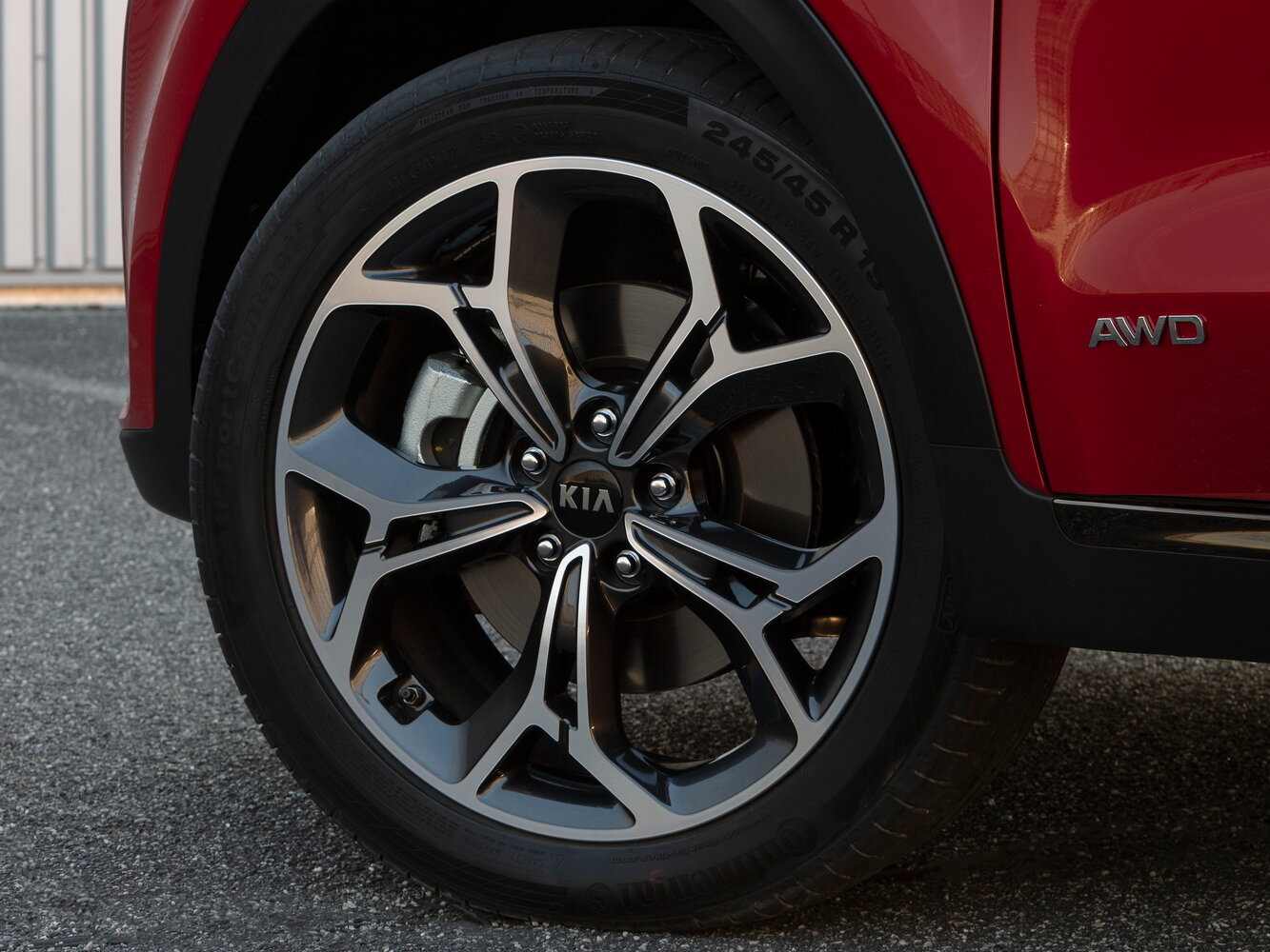 Kia Sportage IV Рестайлинг, 2020, фото 13