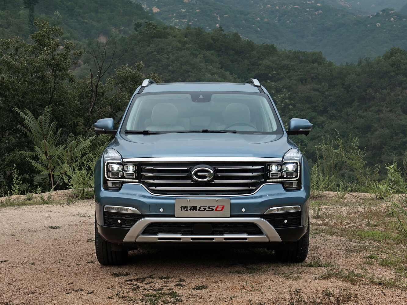 GAC GS8 I, 2019, фото 18