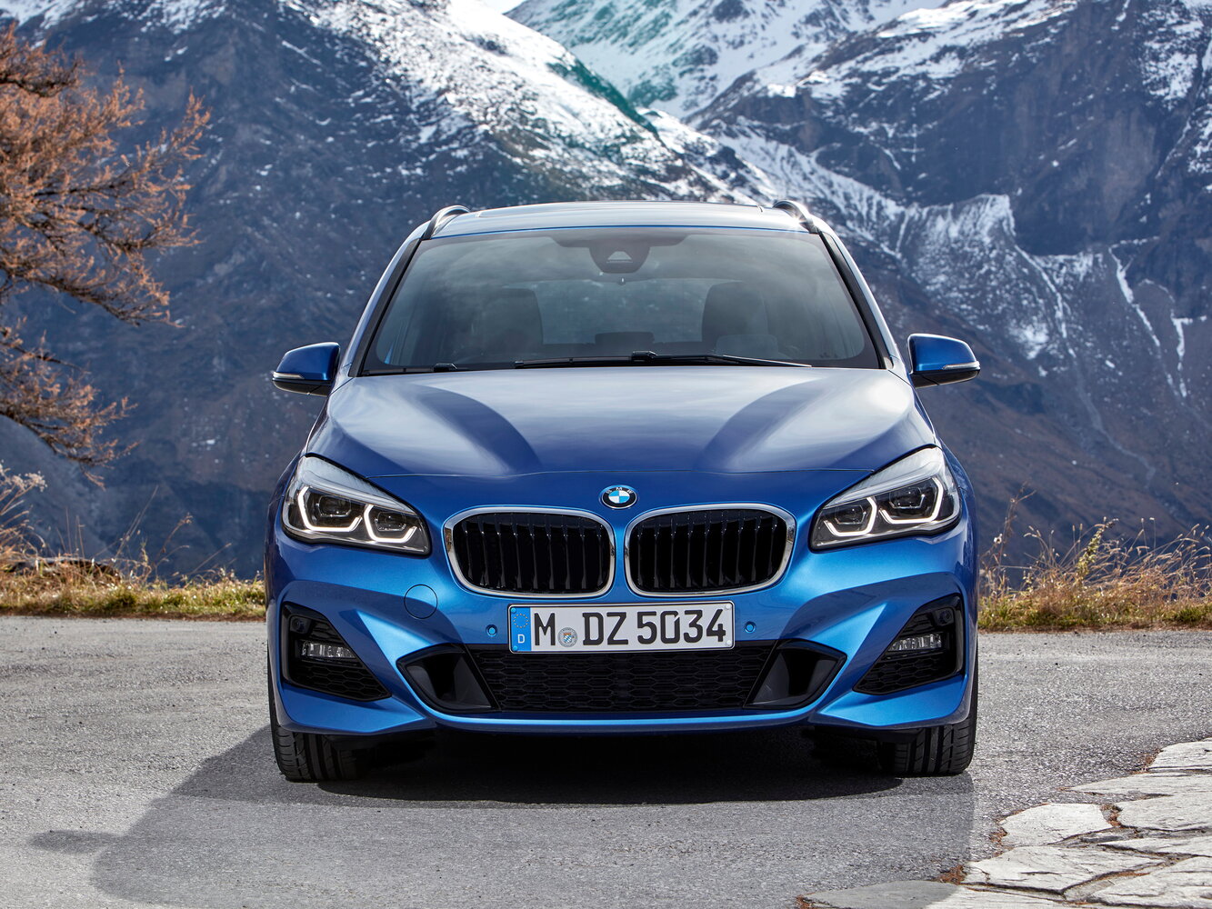 BMW 2 series Gran Tourer F46 Рестайлинг, 2022, фото 3