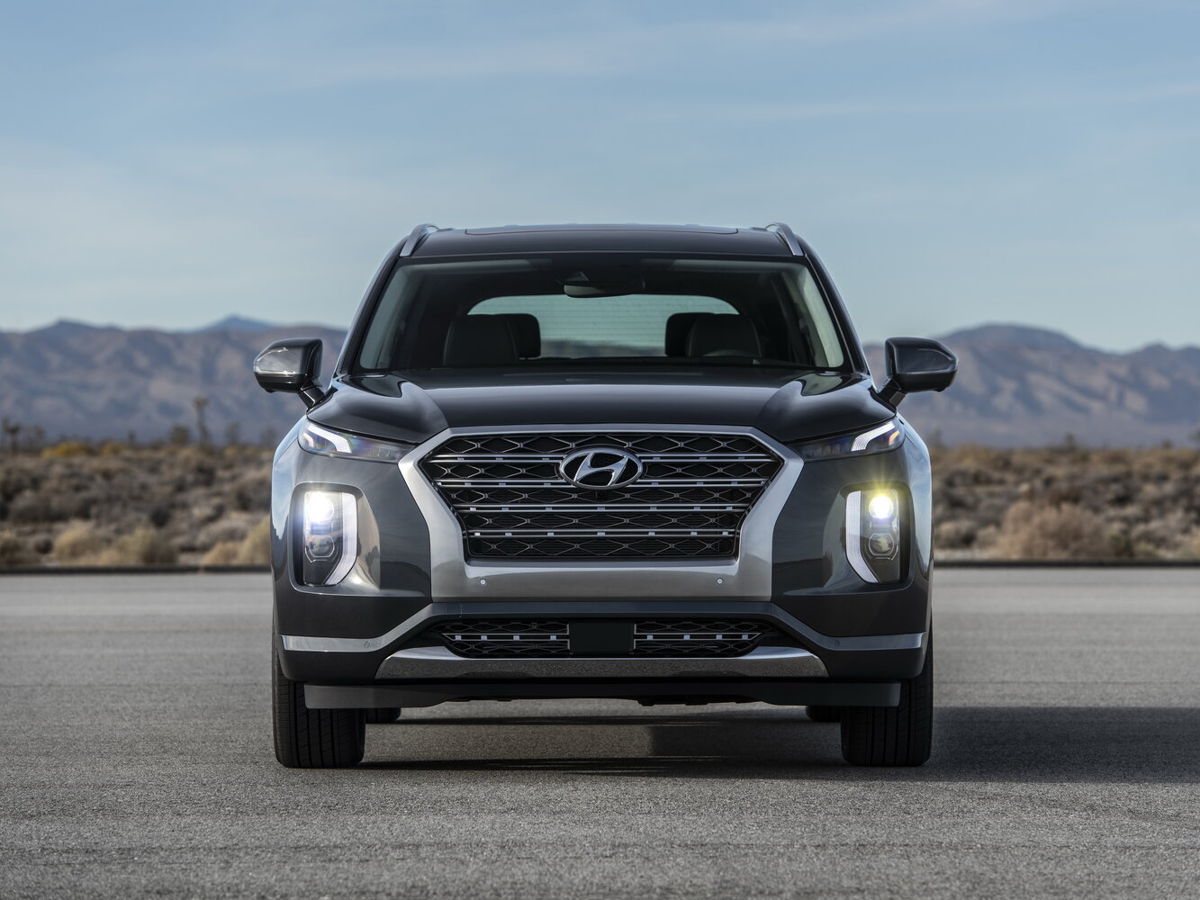 Hyundai Palisade I, 2018, фото 24