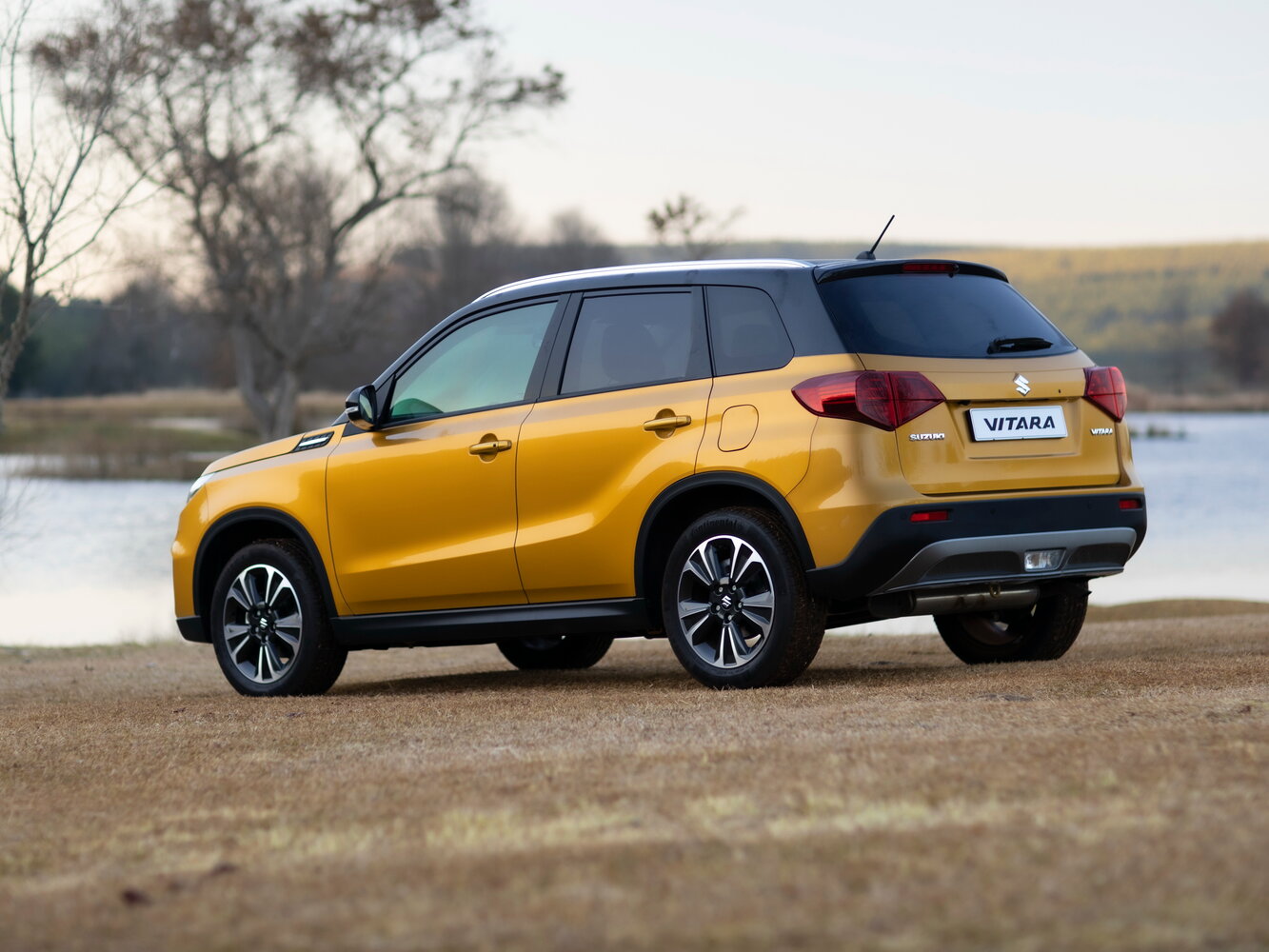 Suzuki Vitara II Рестайлинг, 2020, фото 9