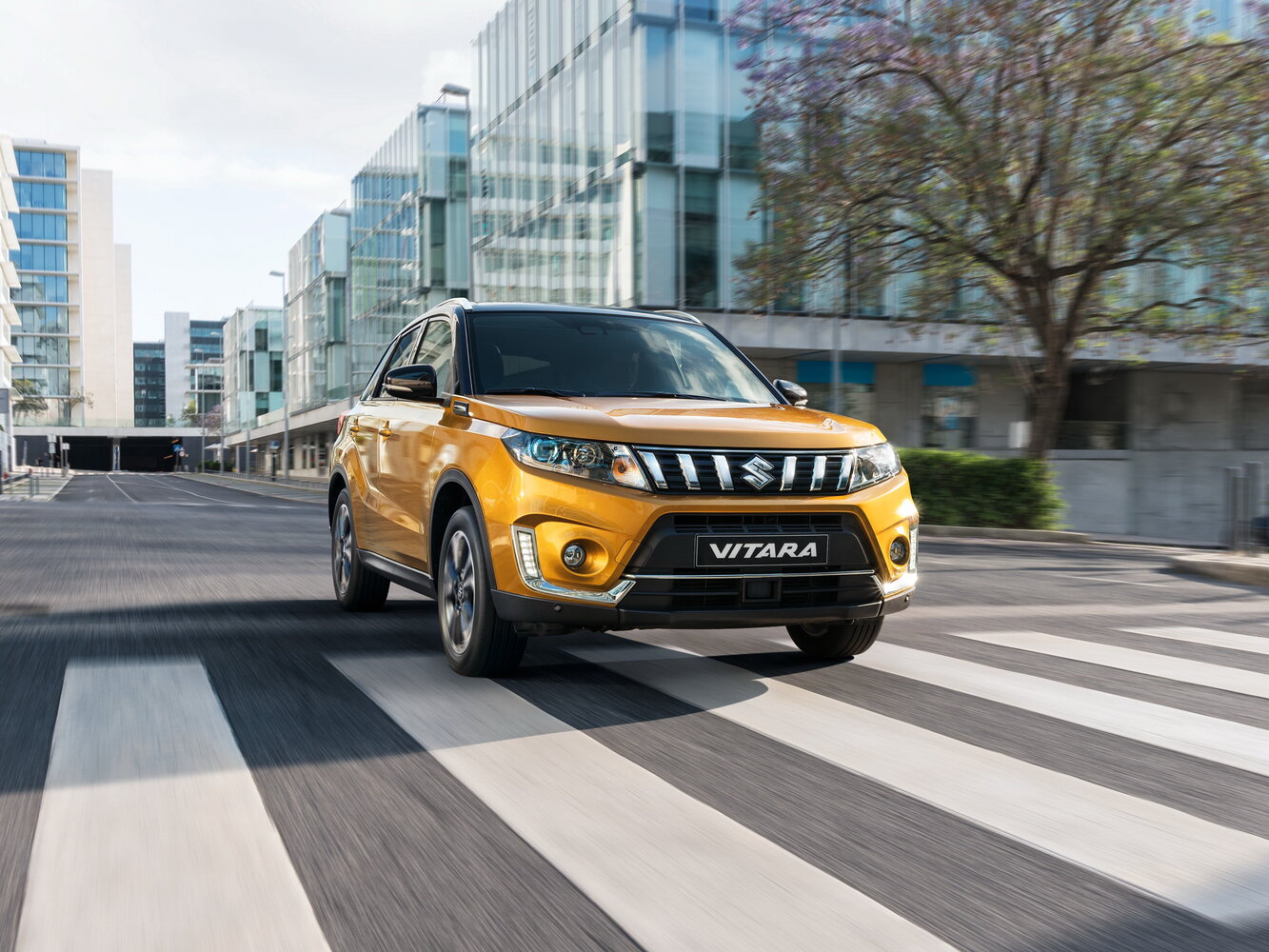 Suzuki Vitara II Рестайлинг, 2020, фото 14