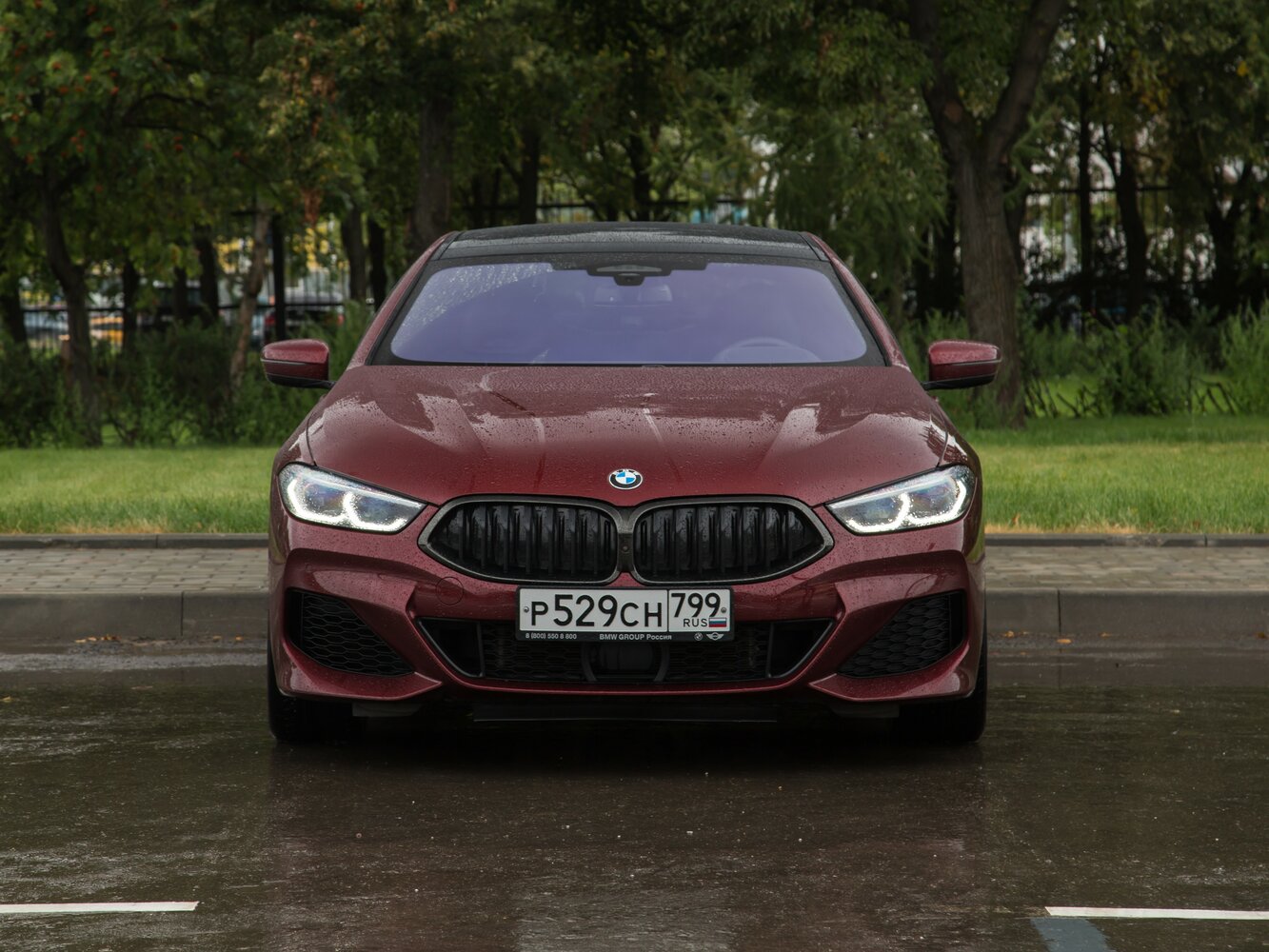 BMW 8 series II (G14/G15/G16), 2018, фото 21