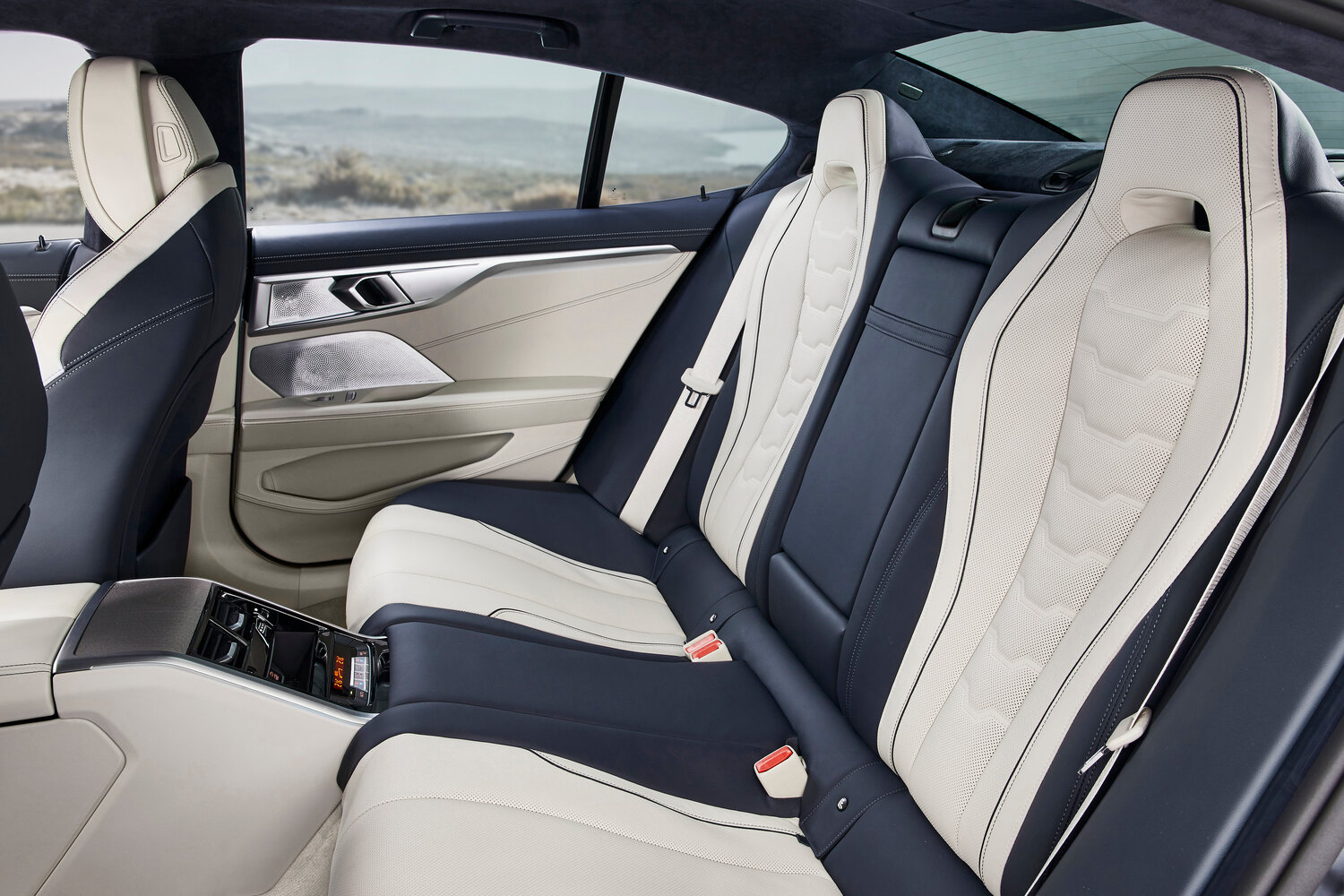 BMW 8 series II (G14/G15/G16), 2018, фото 11